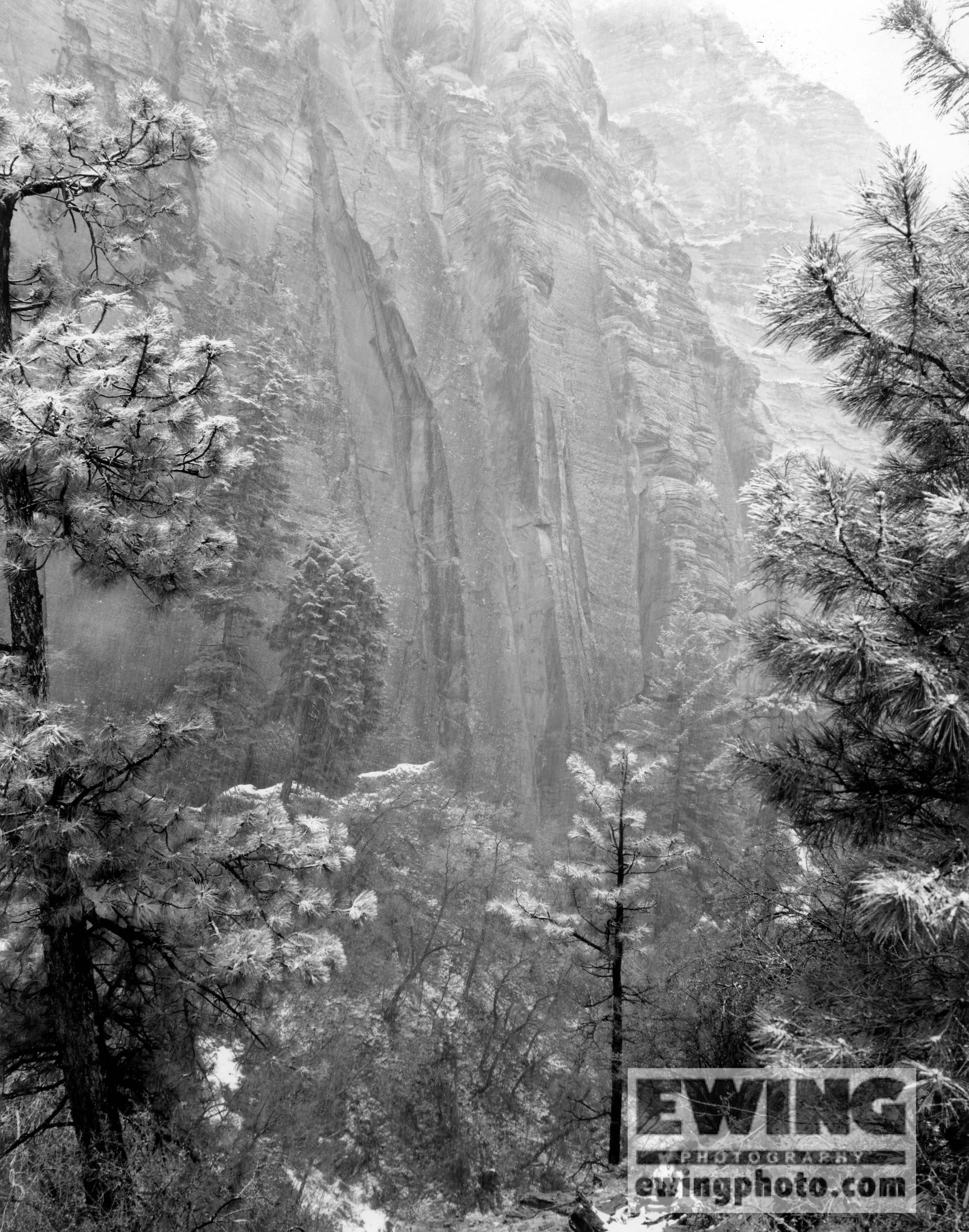 Spring Snow Zion National Park Utah
