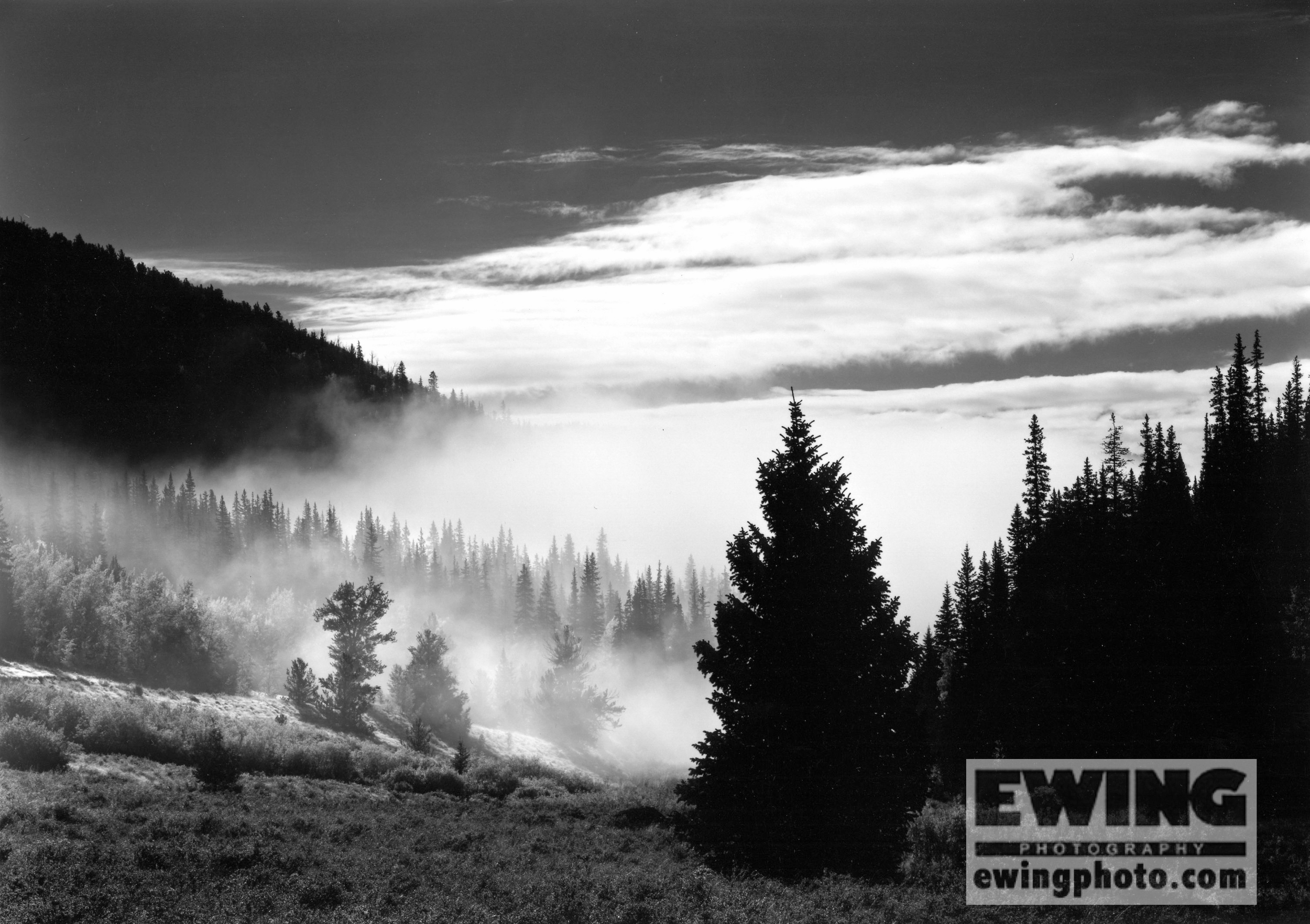 Willow Creek, Rio Grande National Forest Creede, Colorado 