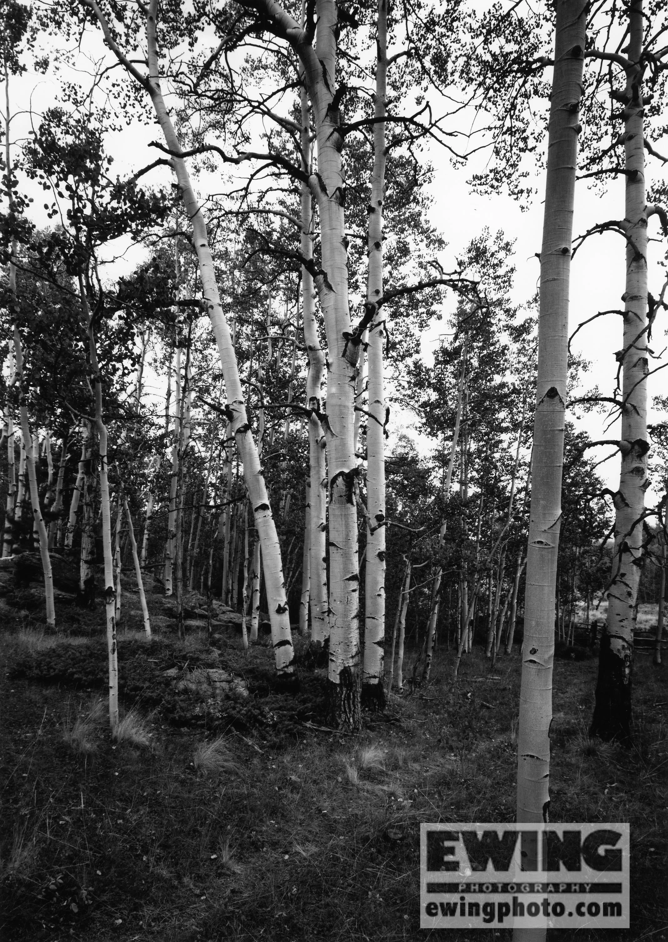 Bull Gulch Colorado