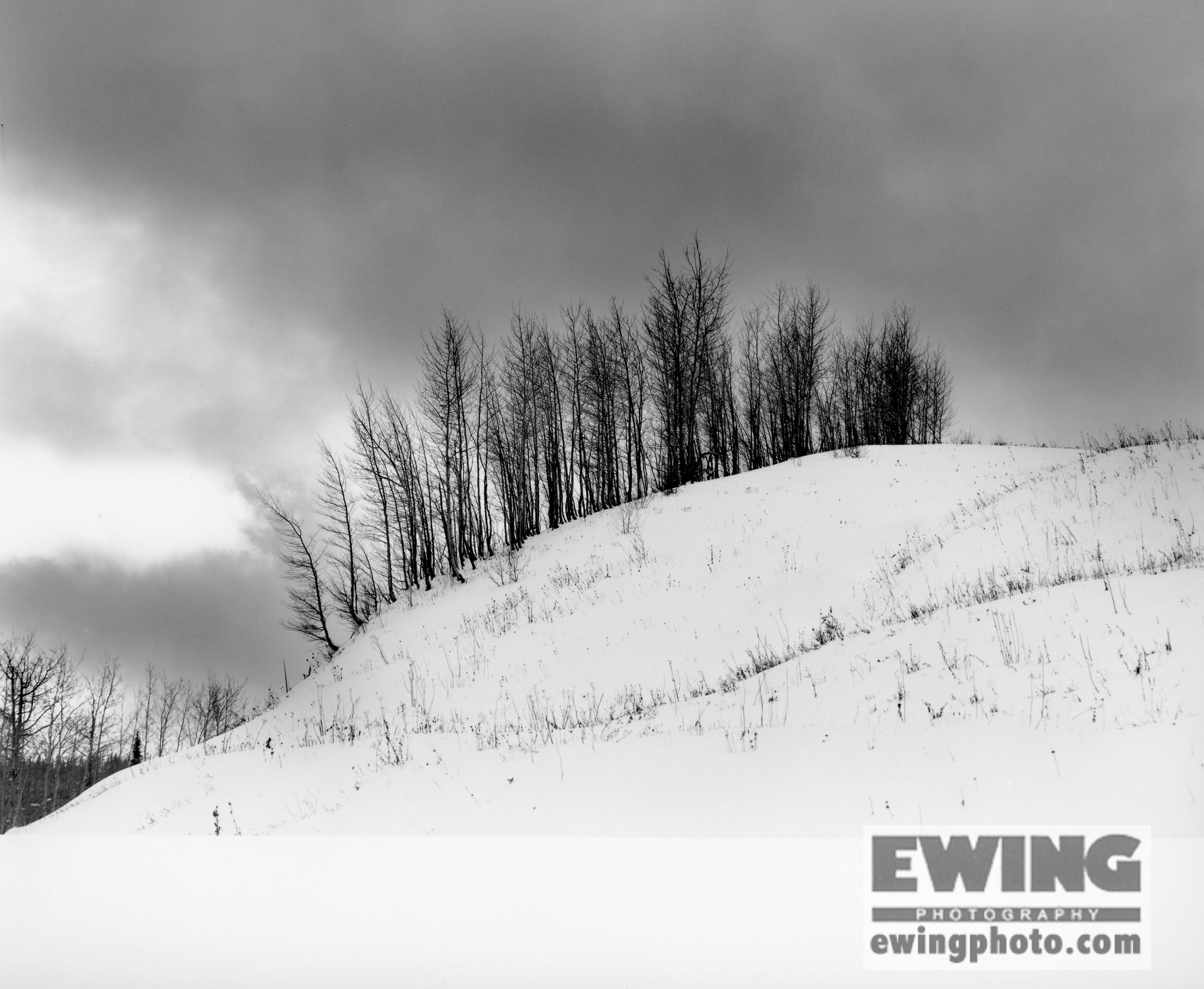 Ripple Creek Pass 