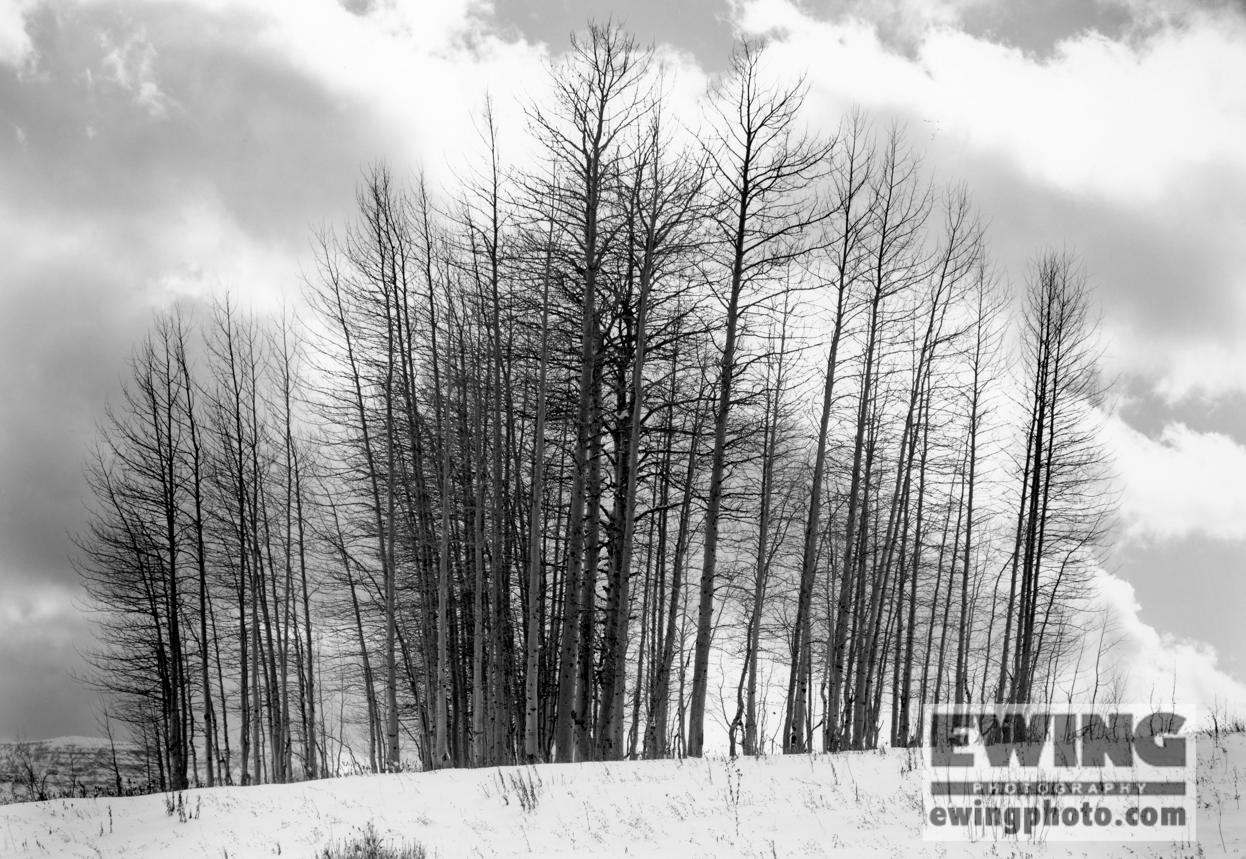 Ripple Creek Pass/ Flat Tops