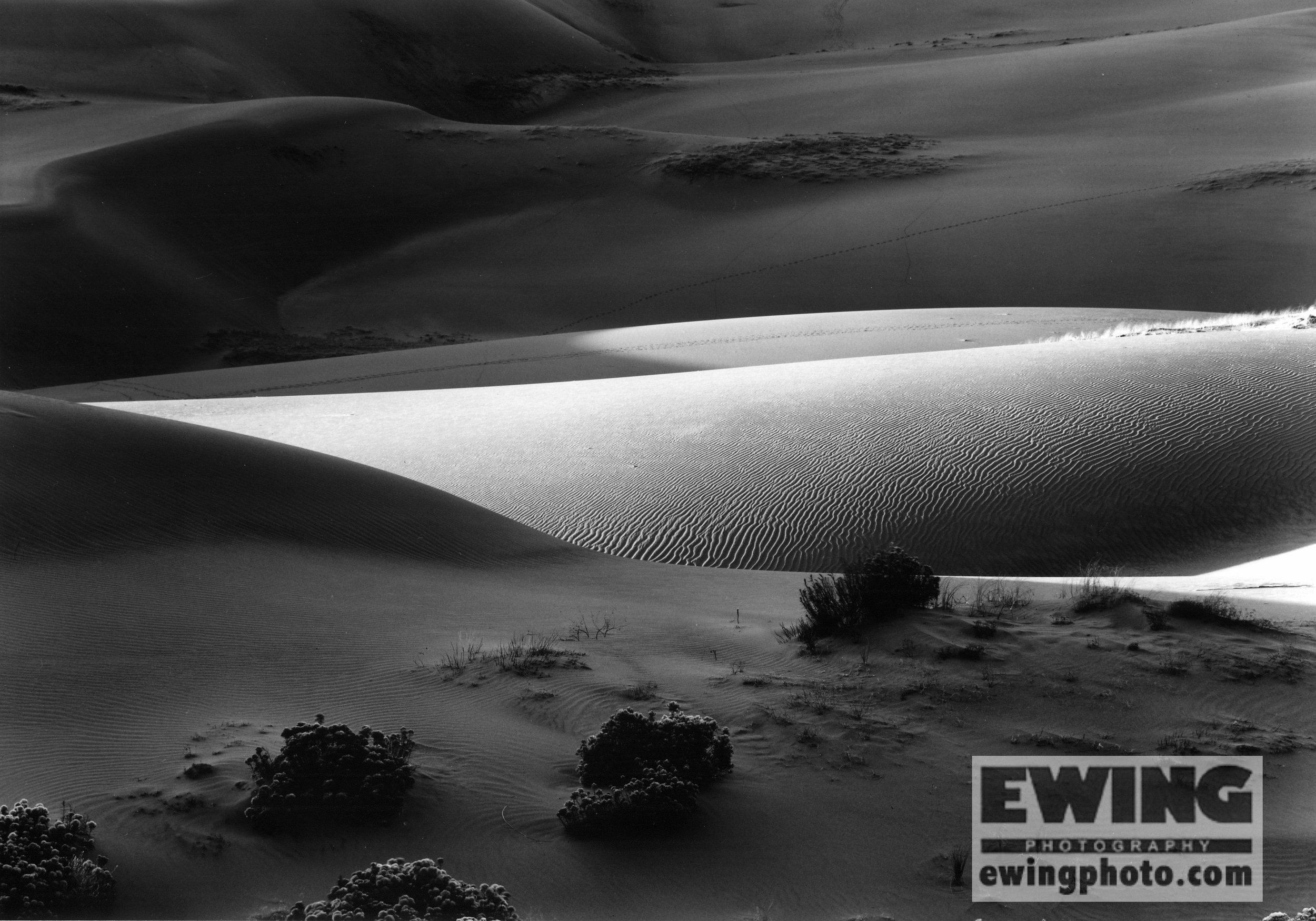 Great Sand Dunes National Park Colorado