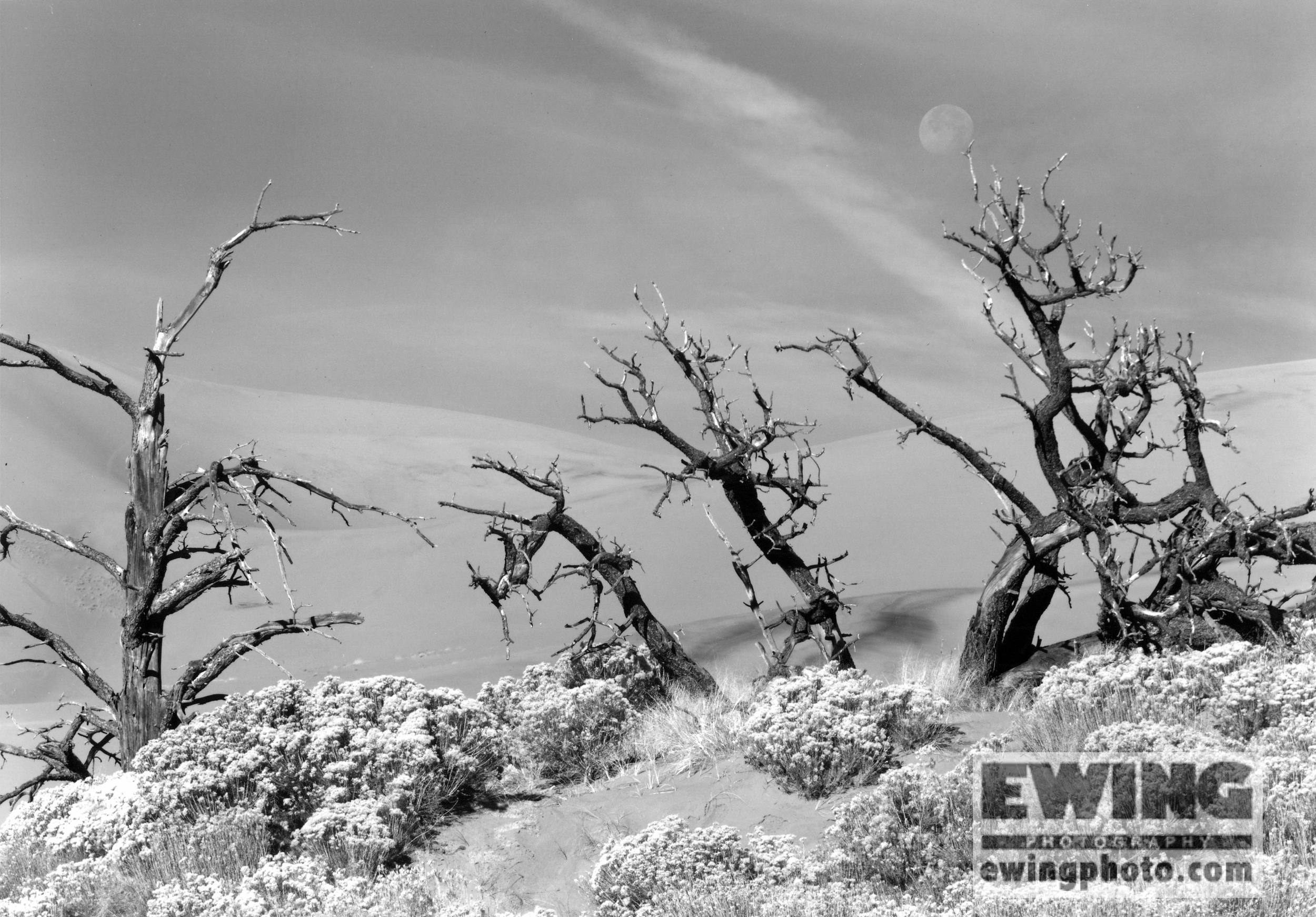 Setting Moon, Great Sand Dunes National Park, Colorado