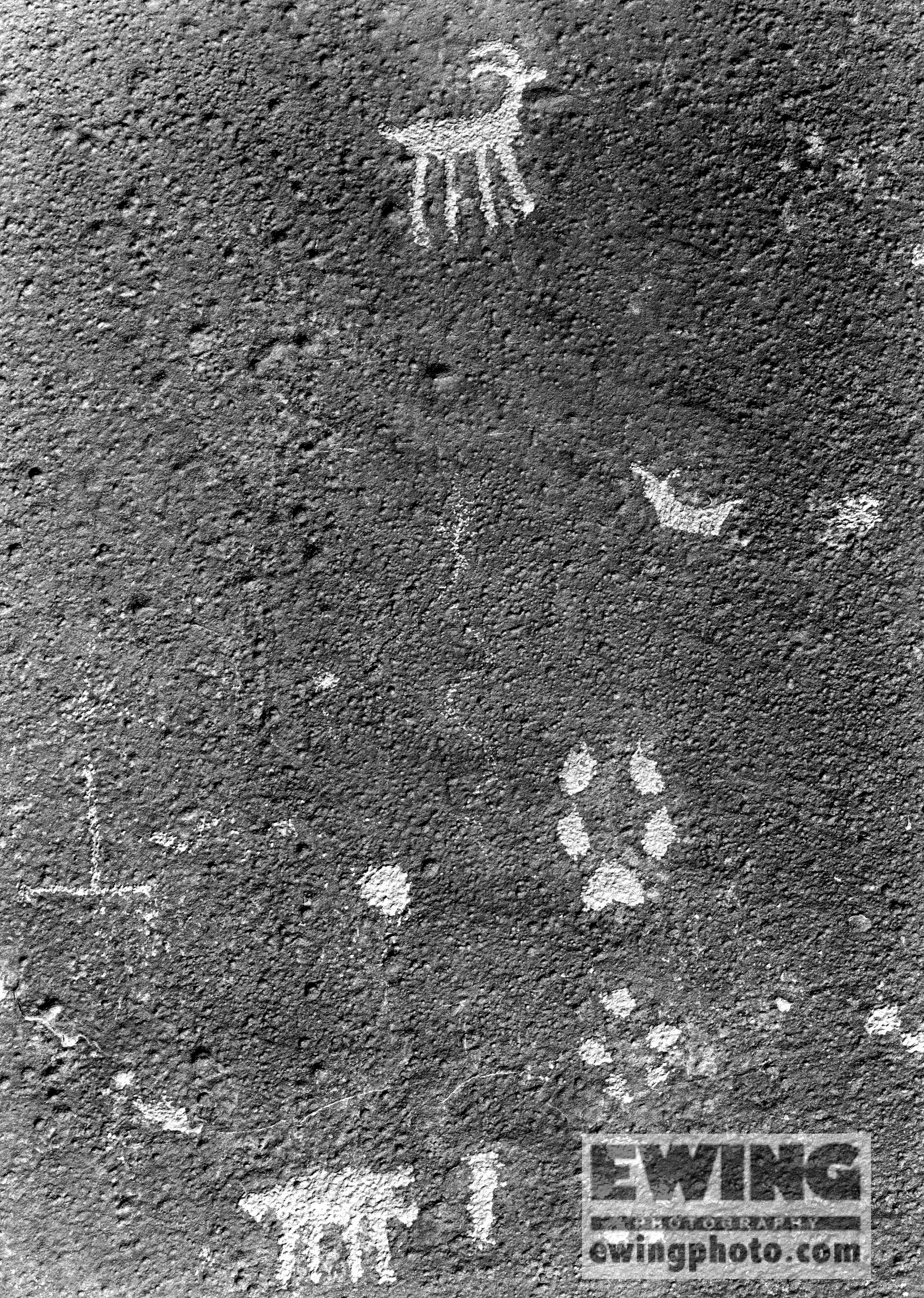 Petroglyphs. Cedar Mesa Muley Point, Utah 