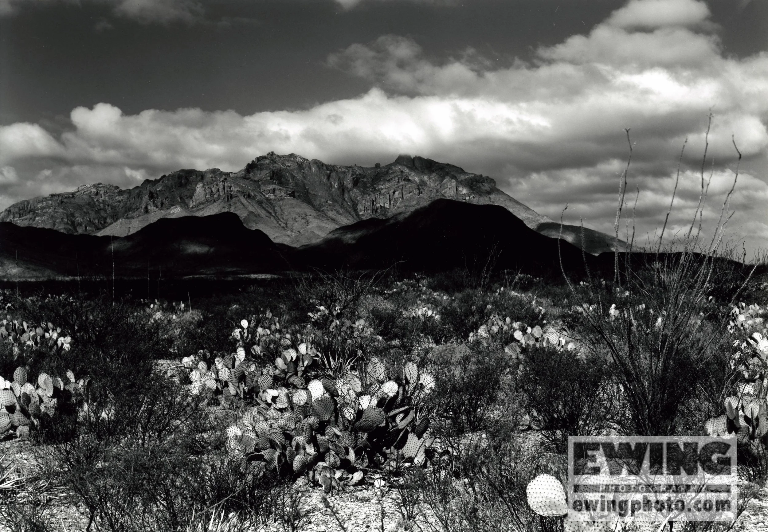 Chisos Mt, Big Bend National Park, TX