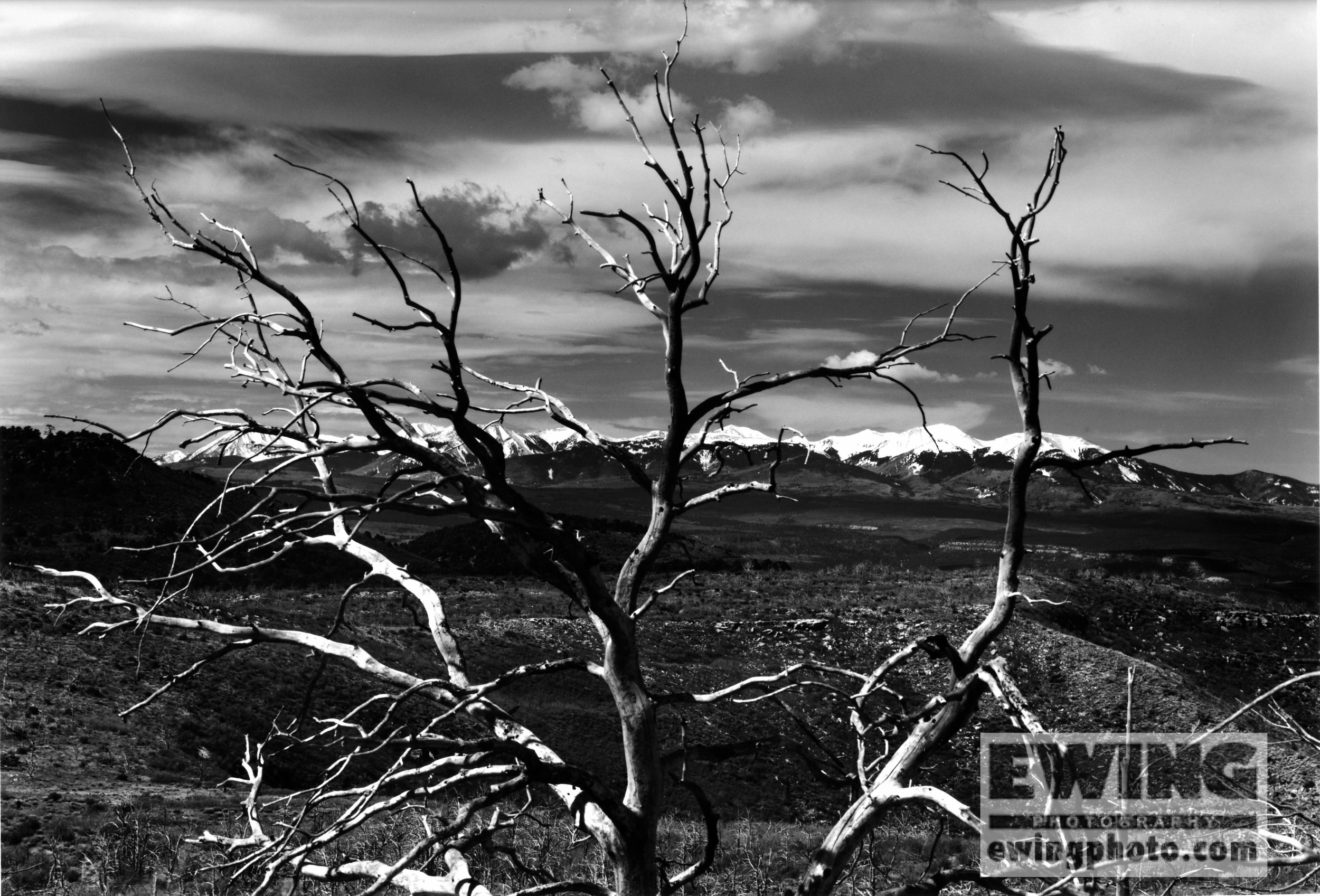 La Sal Mountains CO/UT The Uncompahgre Plateau