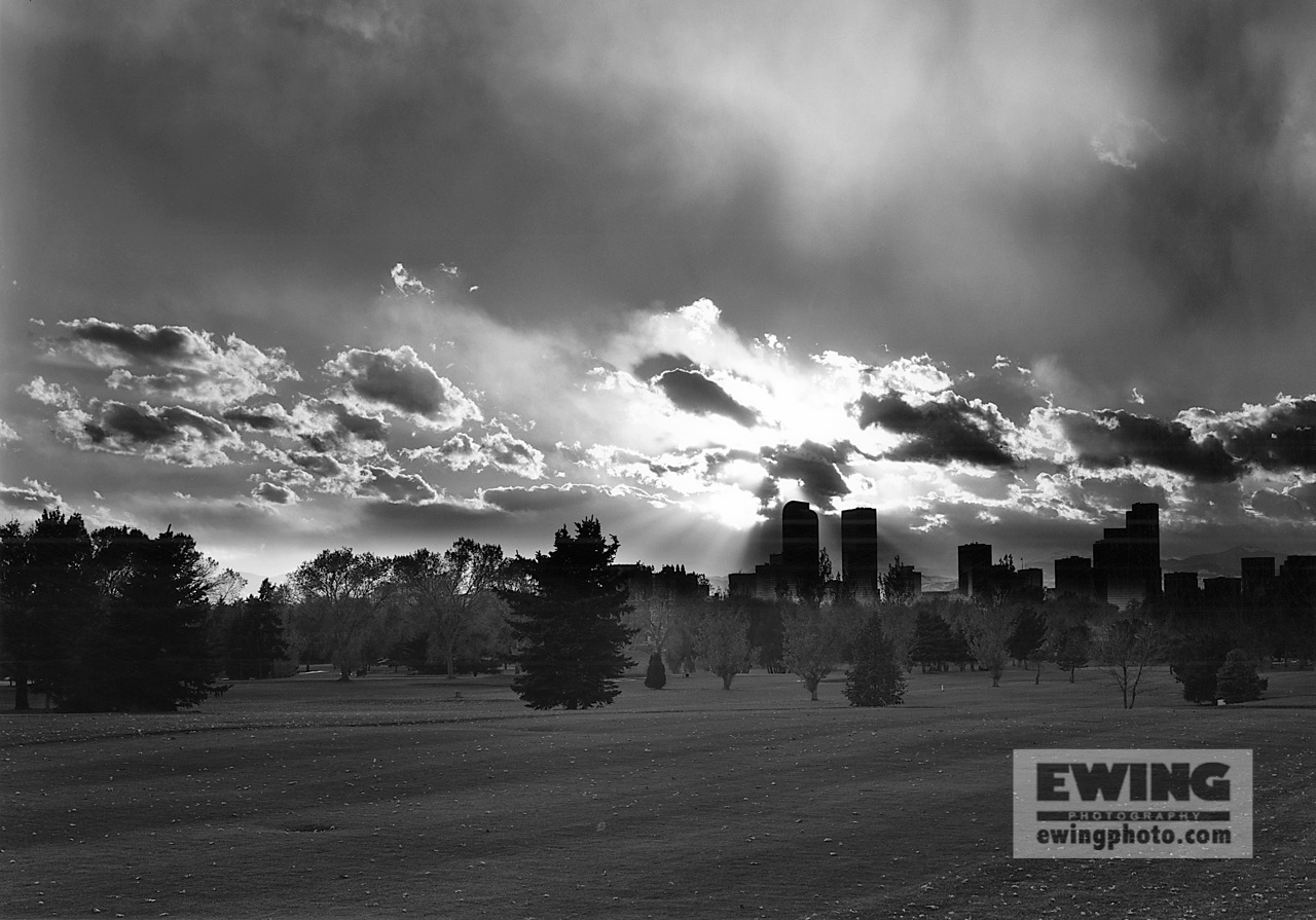 Denver Skyline, City Park Denver, Colorado 