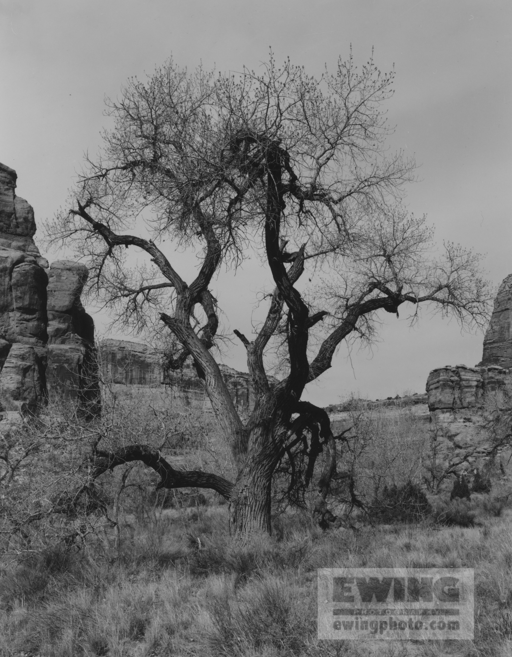 Buckhorn Wash San Rafael Swell, Utah