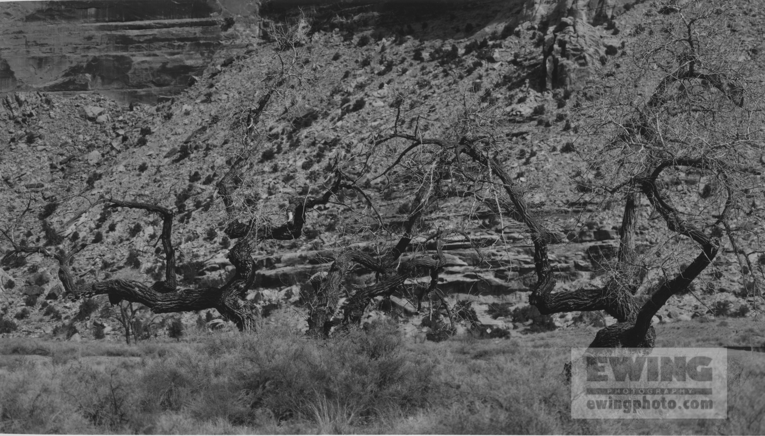 Buckhorn Wash San Rafael Swell, Utah