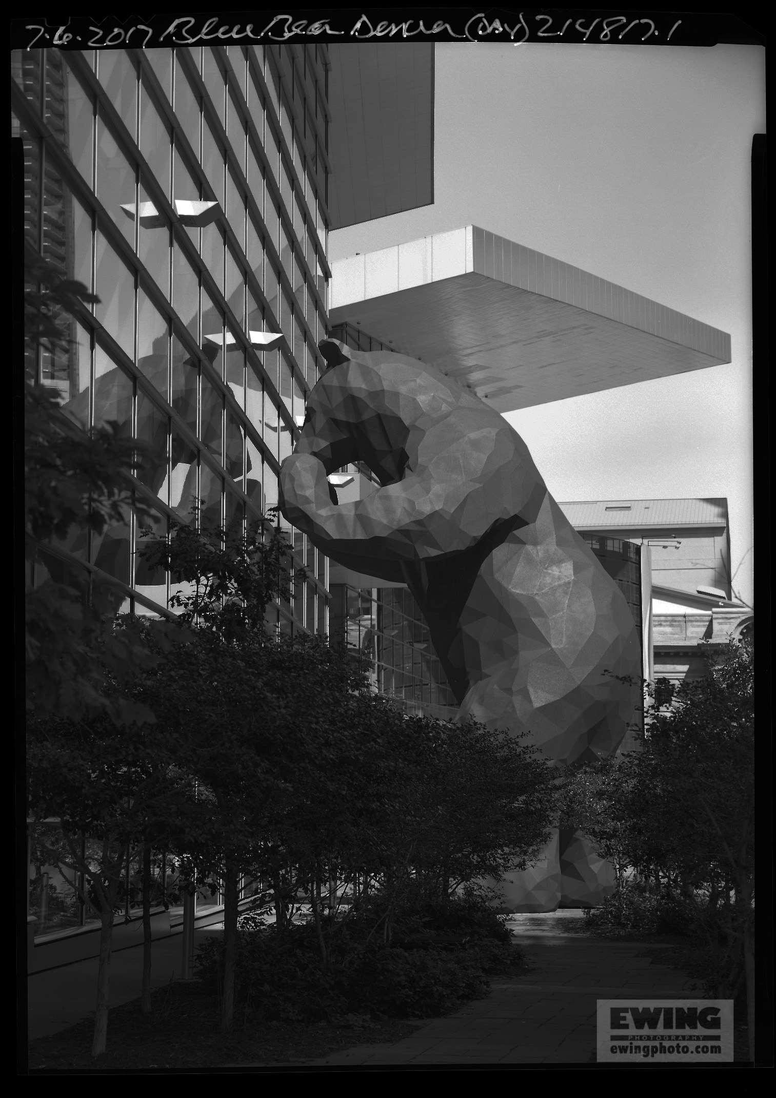 Blue Bear at Convention Center