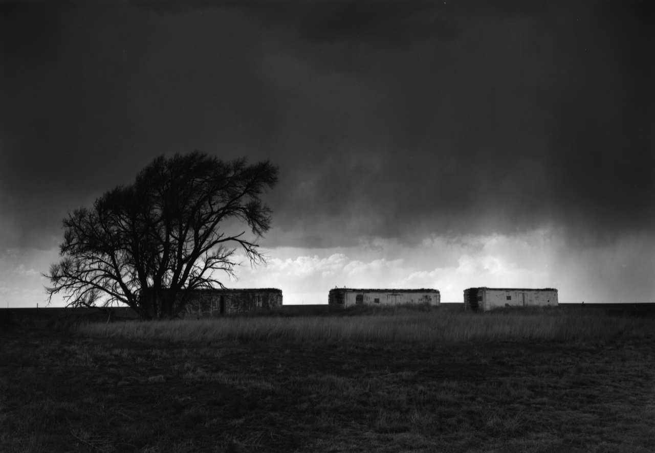 Railroad Cars, Melrose, New Mexico