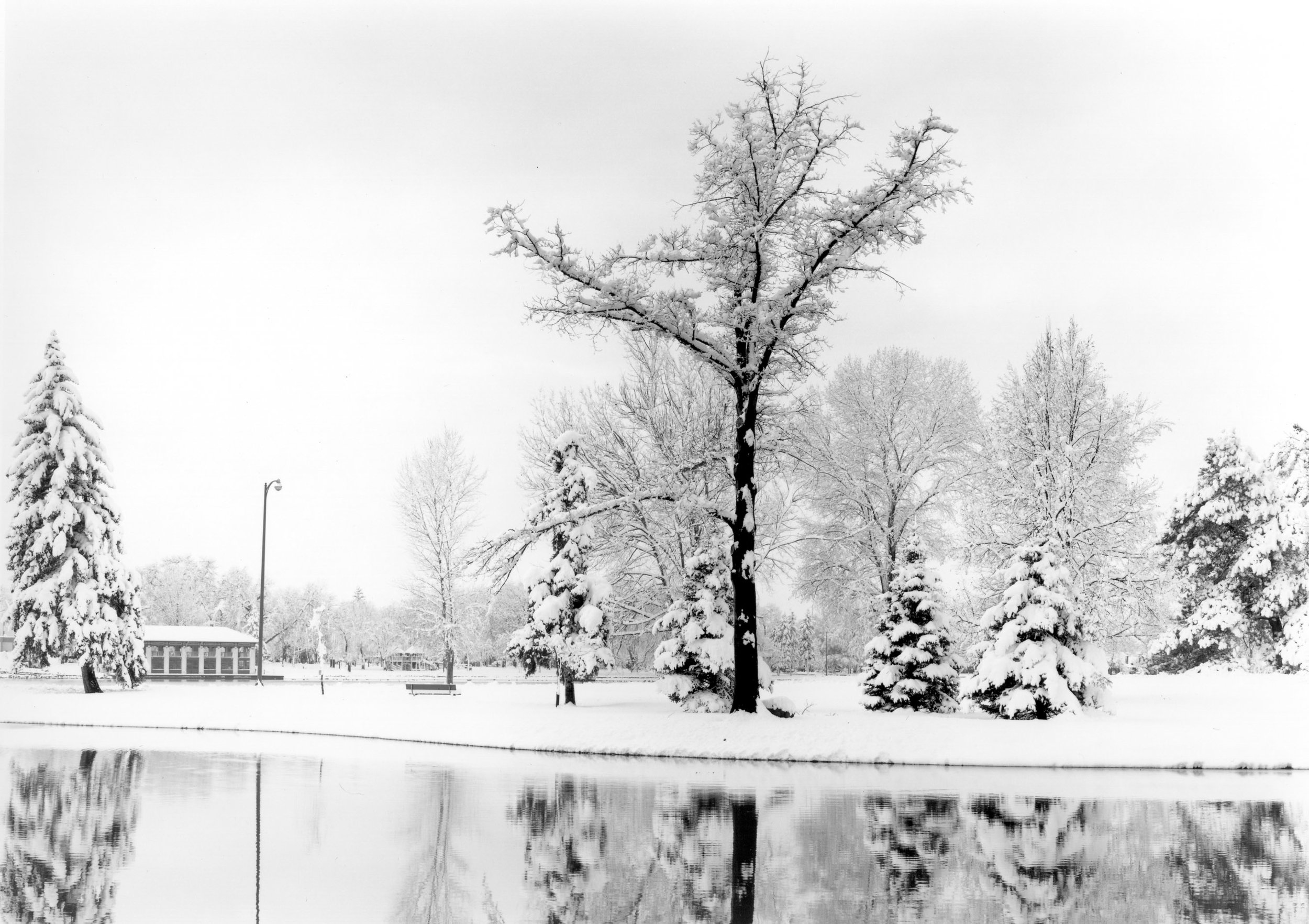 Elm Tree & Boathouse, Washington Park Denver, Colorado		