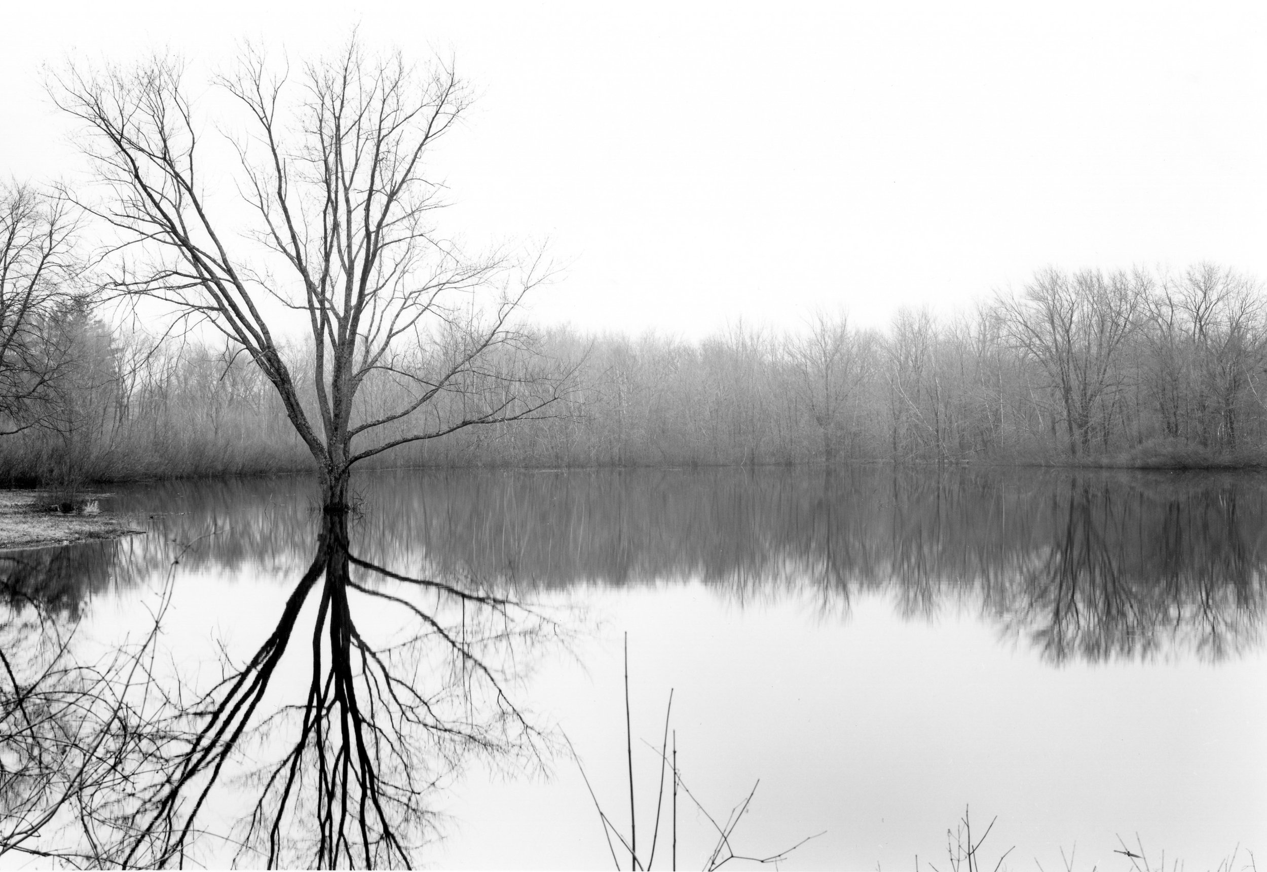 Calf Pasture Lake Concord, Massachusetts 