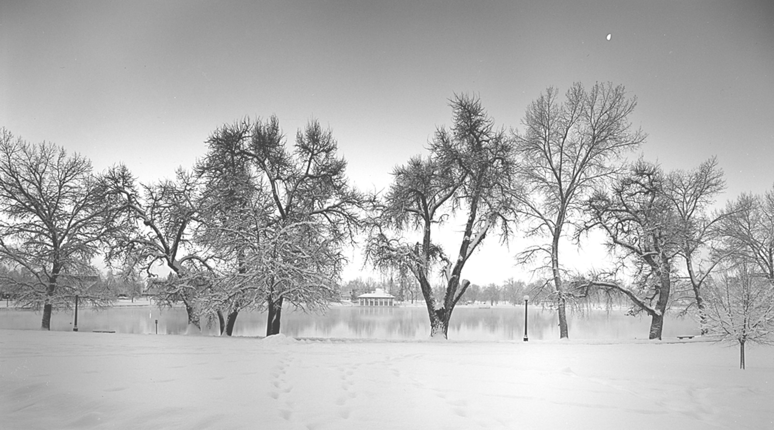 Early Morning Moon, Washington Park Denver, 