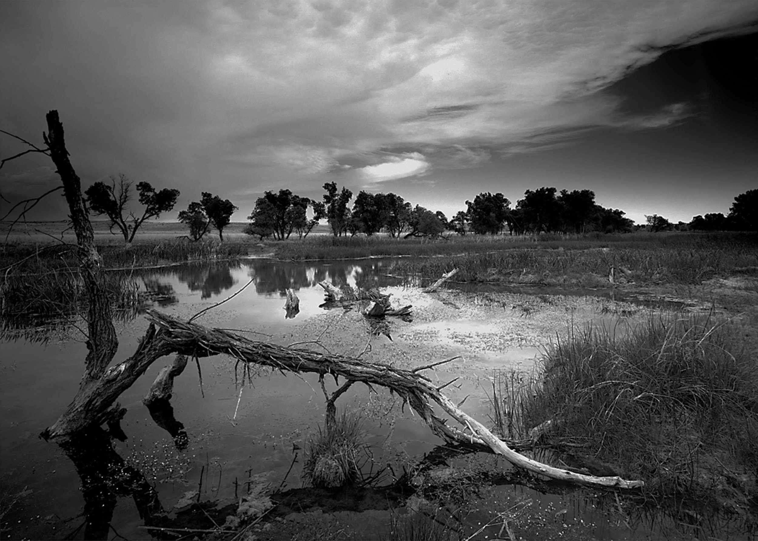 Arikaree River Colorado Grasslands 