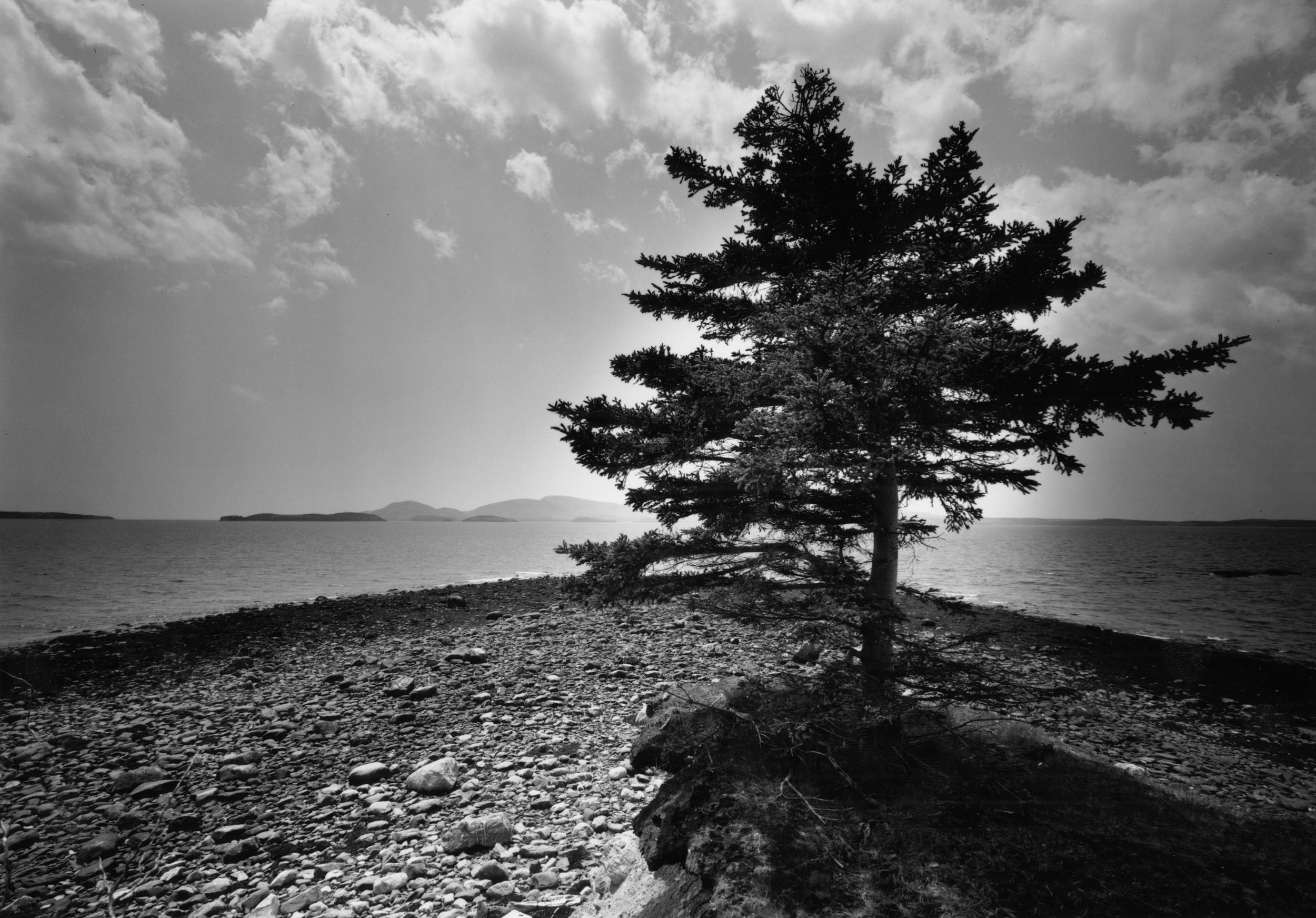 Tip Of Thrum Cap Acadia National Park Frenchman Bay