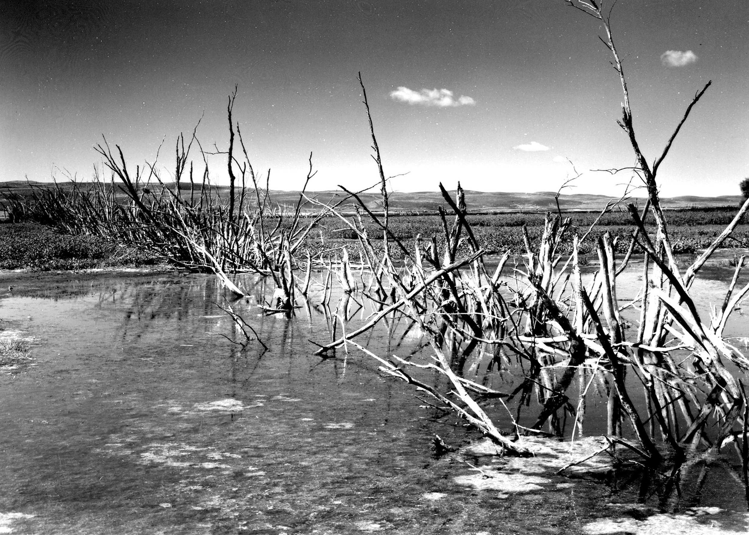 Willows Rt. 97 Sand Hills, Nebraska 