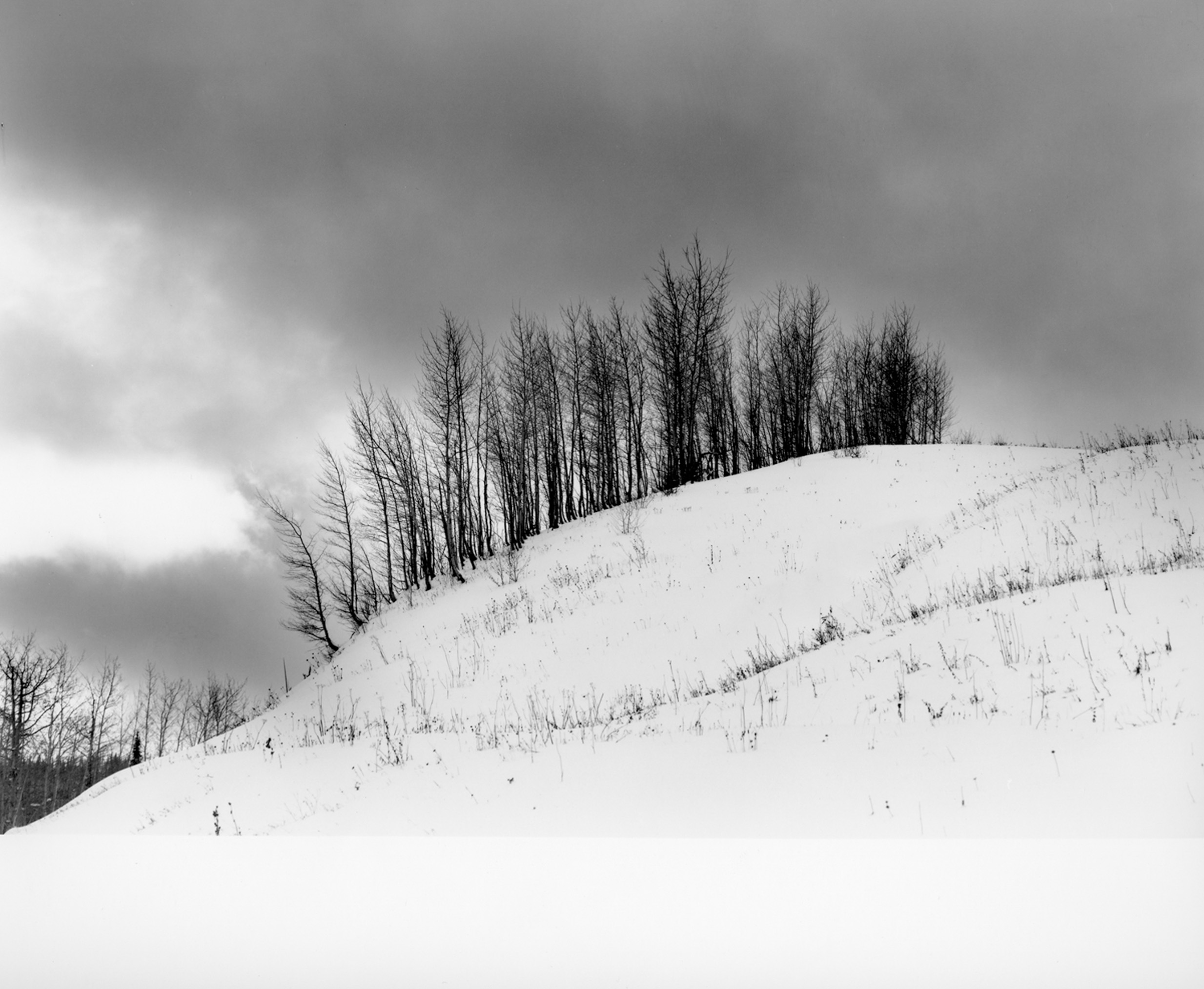 Ripple Creek Pass 