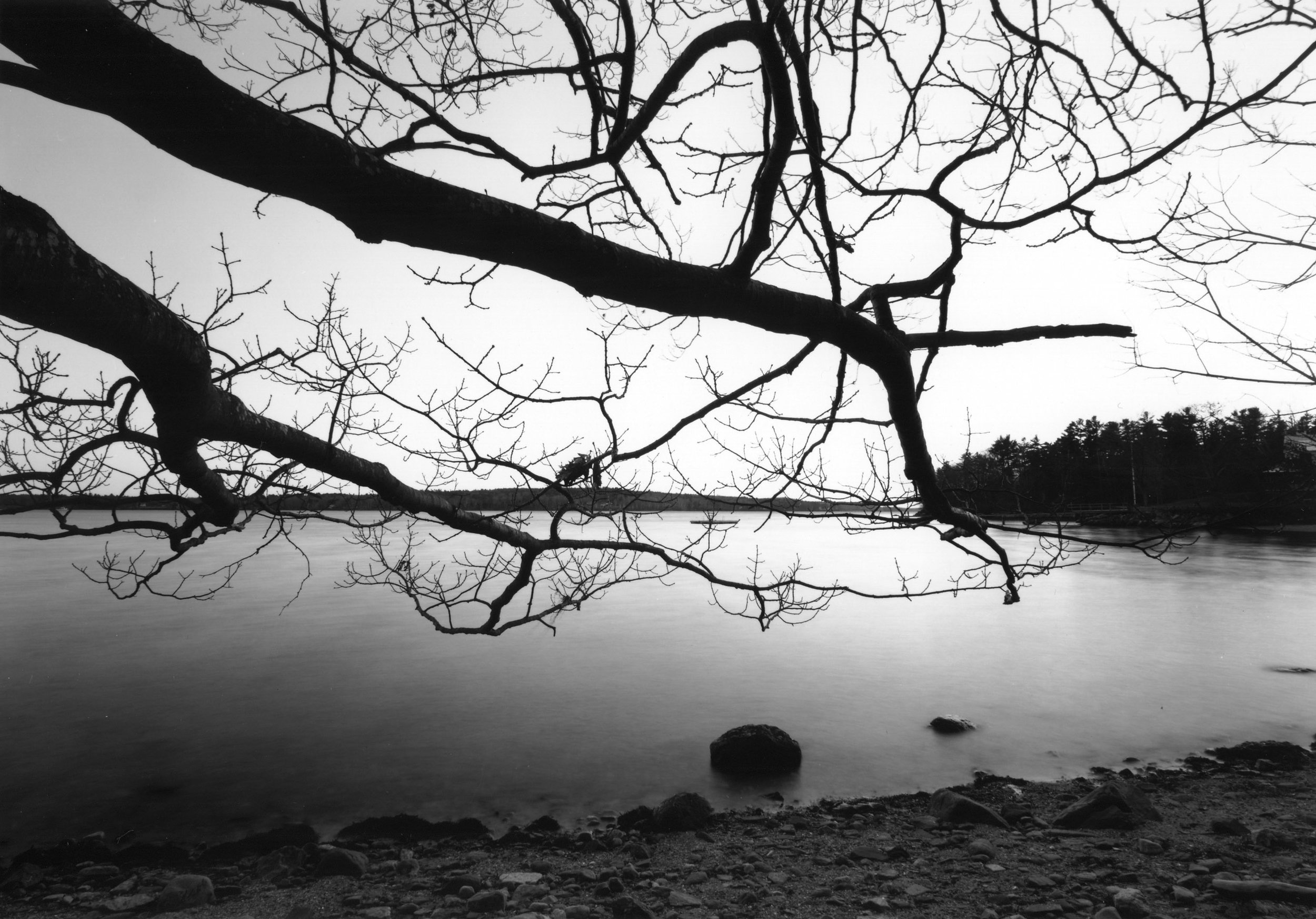 Little Johns Island, South Side Shore Line, Maine 