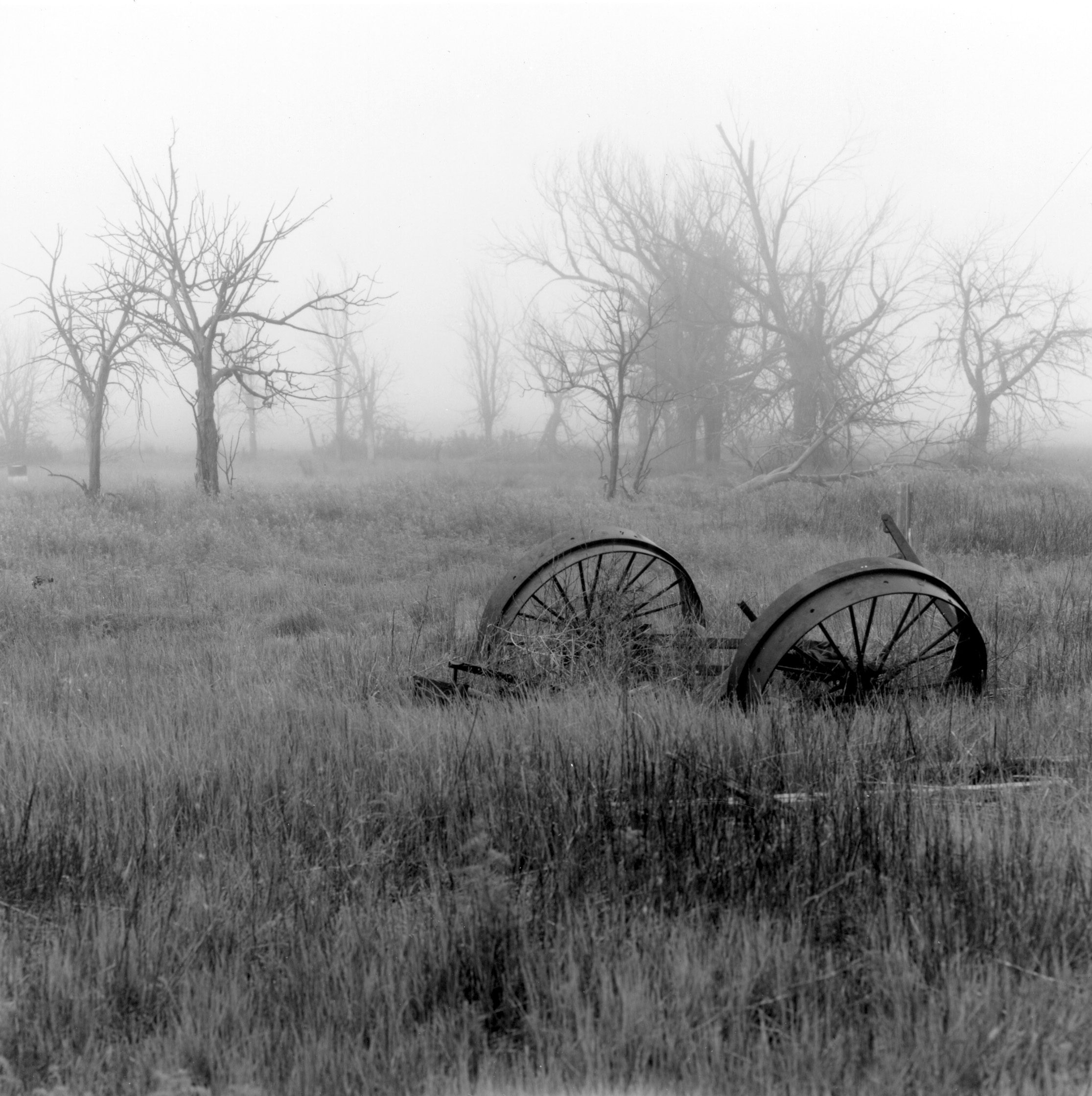 Pawnee Grass land