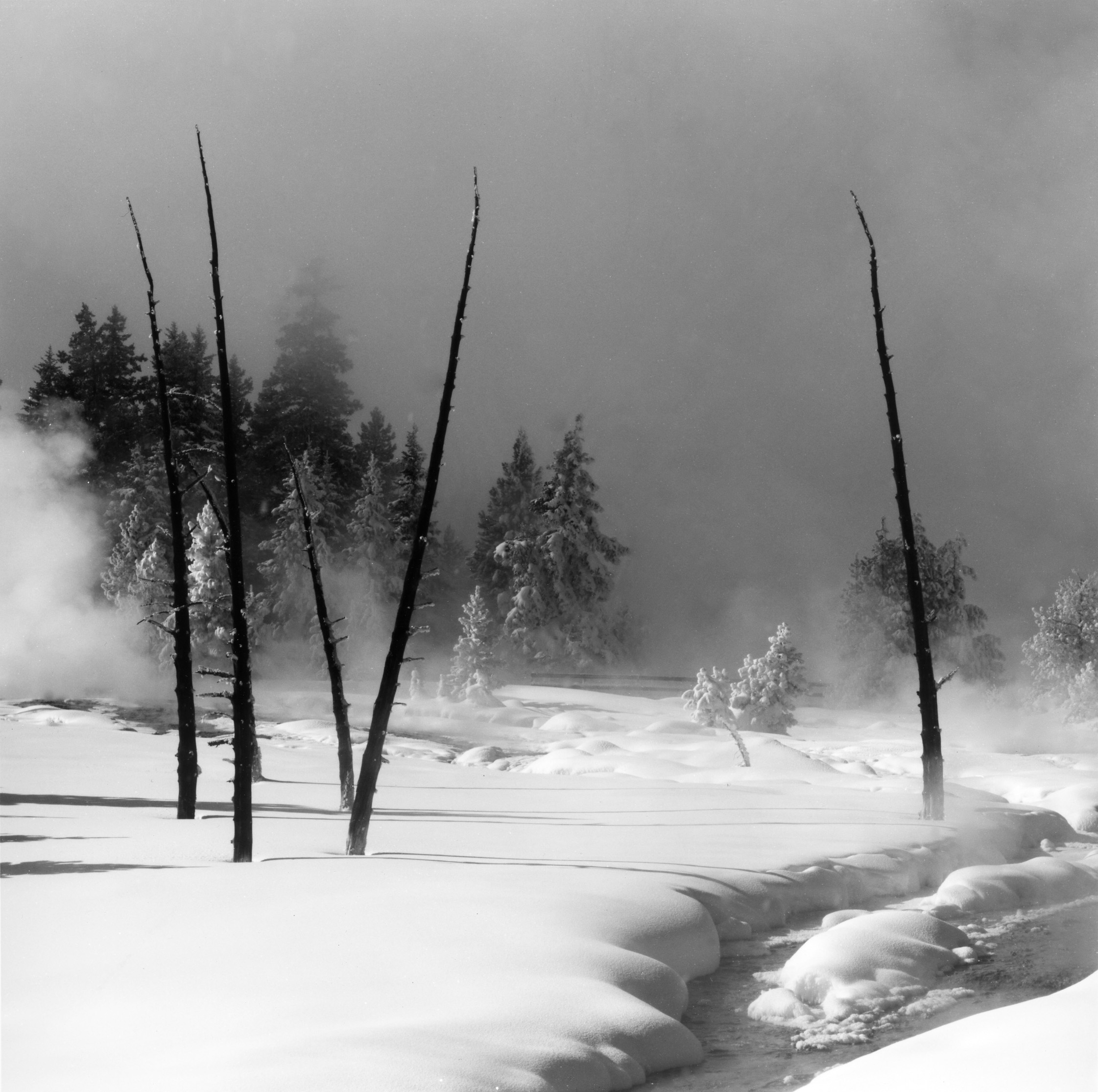 West Thumb, Geyser Basin Yellowstone National Park