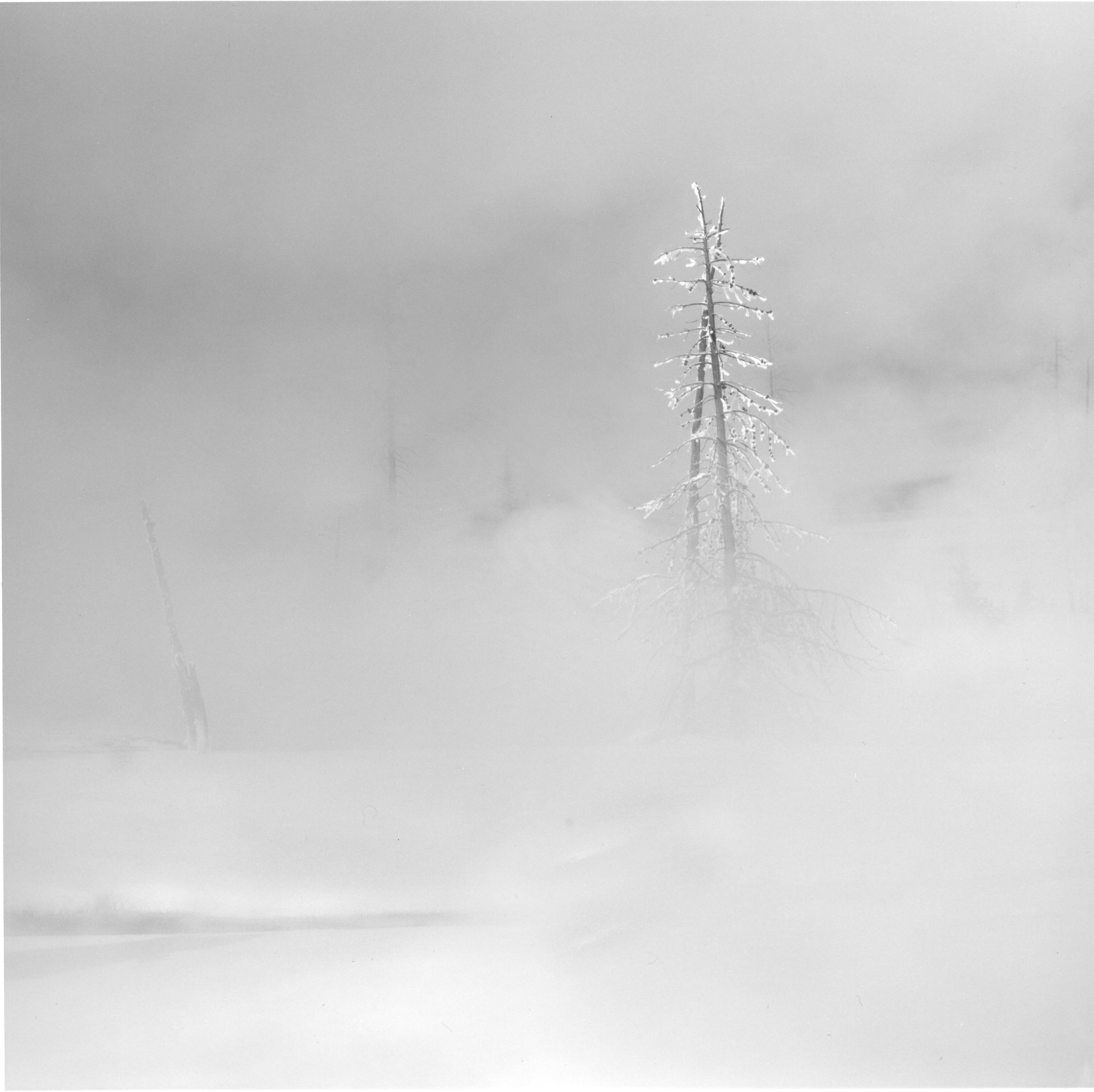 West Thumb, Geyser Basin Yellowstone National Park