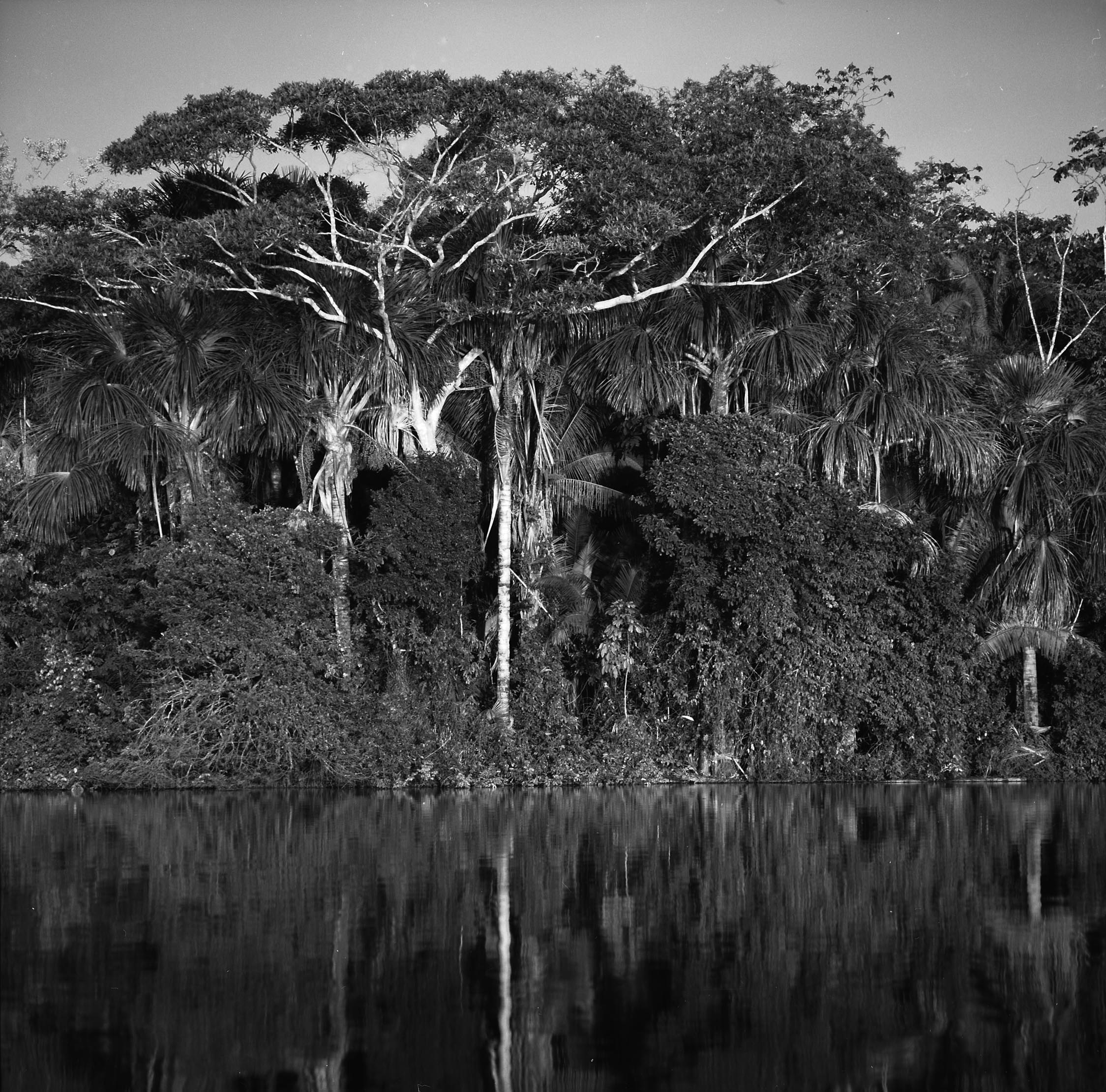 Tambopata National Reserve 