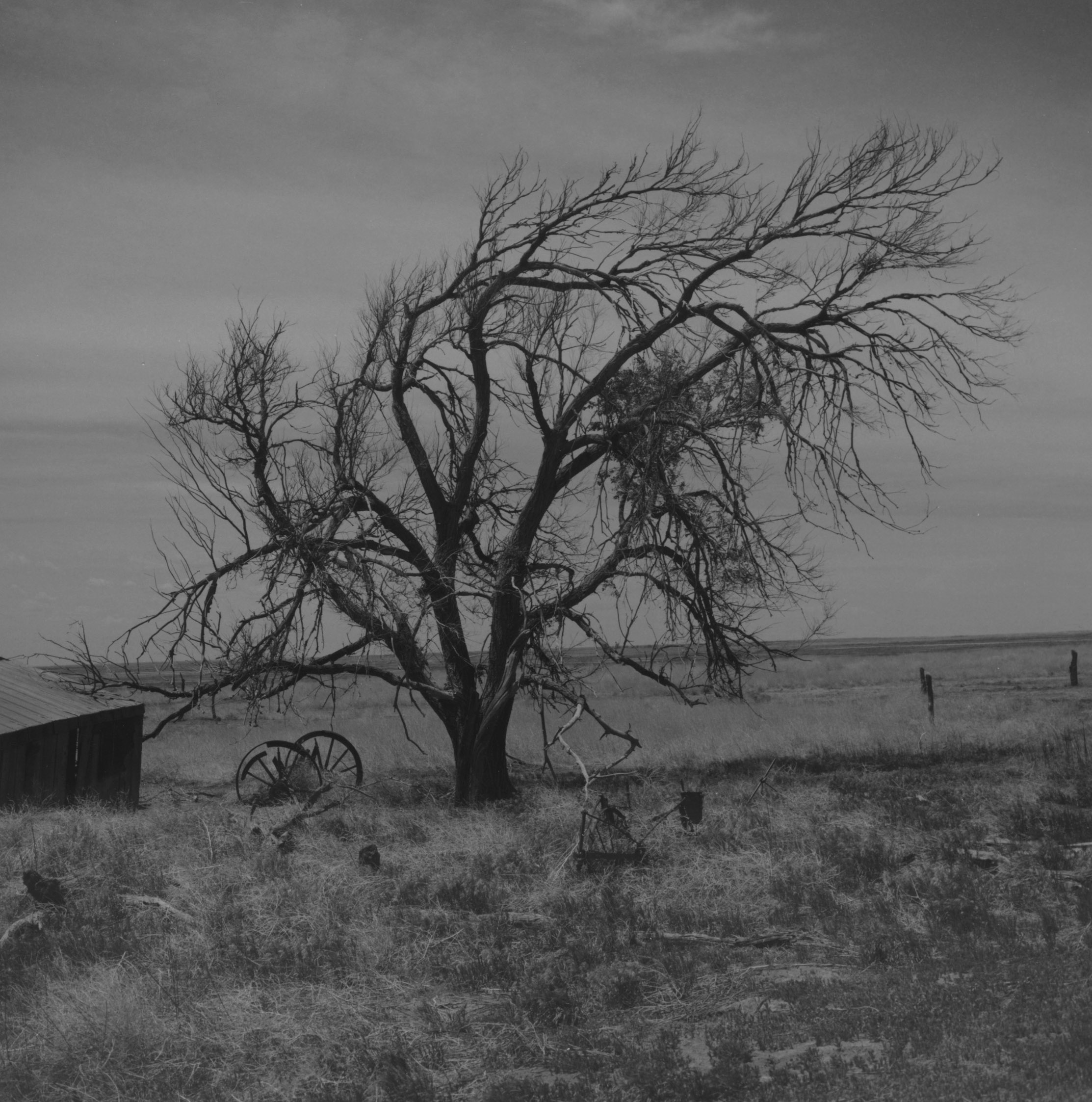 RD160, Pretchett, Colorado Comanche Grassland  