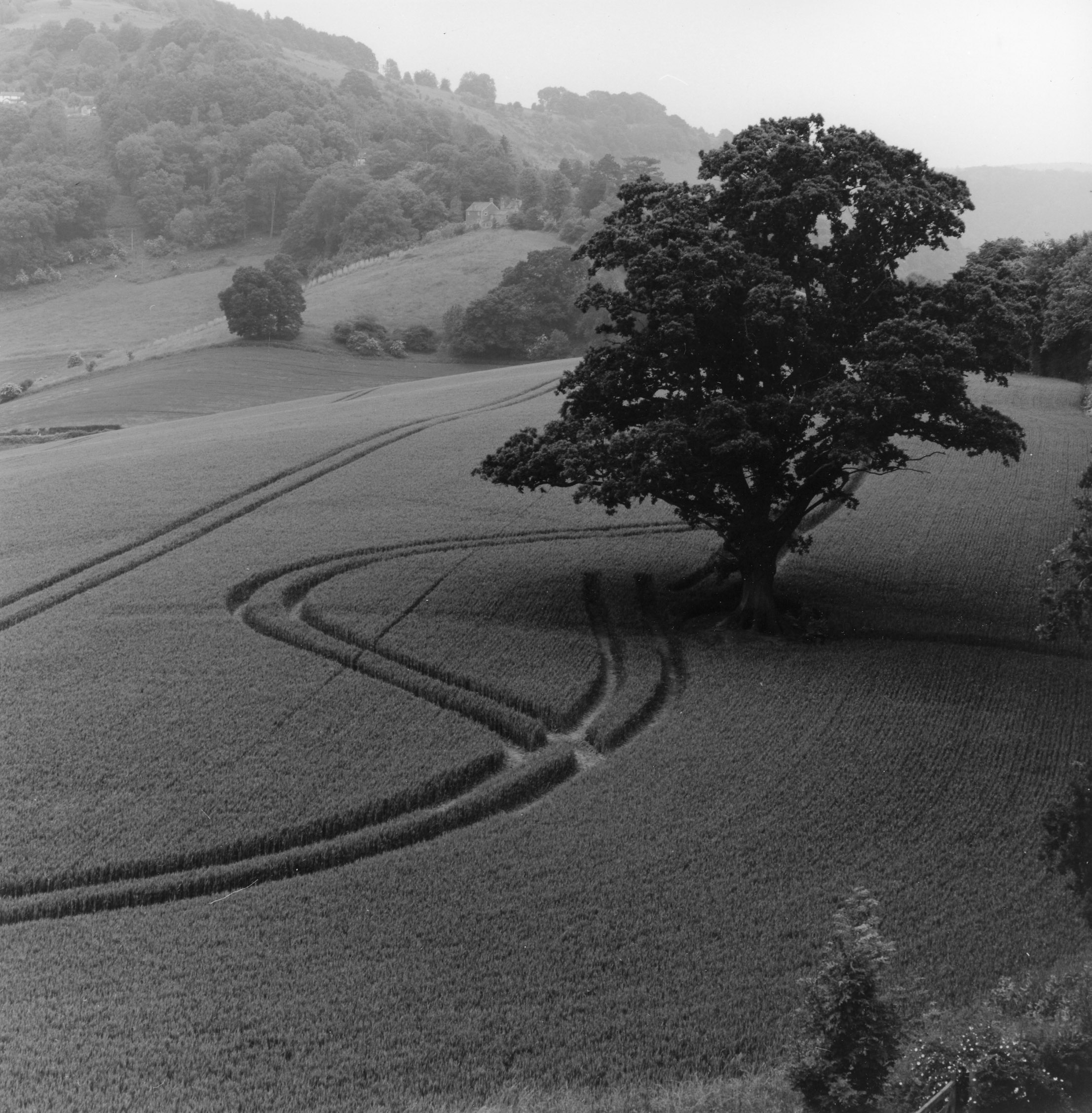 Goodrich Castle  Wheatfield Herefordshire, Wales  