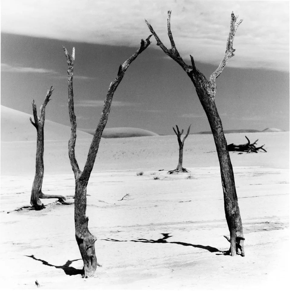 Dead Vlei