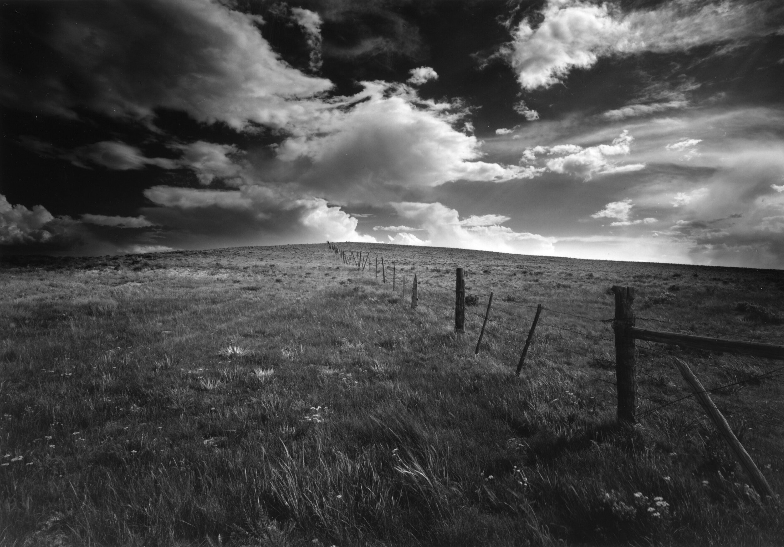 Coleman Ranch  South Park, Colorado