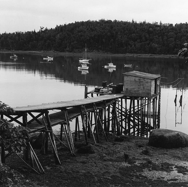 Ewing June print of the month for sale.  https://www.ewingphoto.com/print-of-the-month/  #maine#frenchmanbayconservancy #frenchmanbay#acadianationalpark #darkroomphotography #darkroomprint #blackandwhitephotography #filmphotography