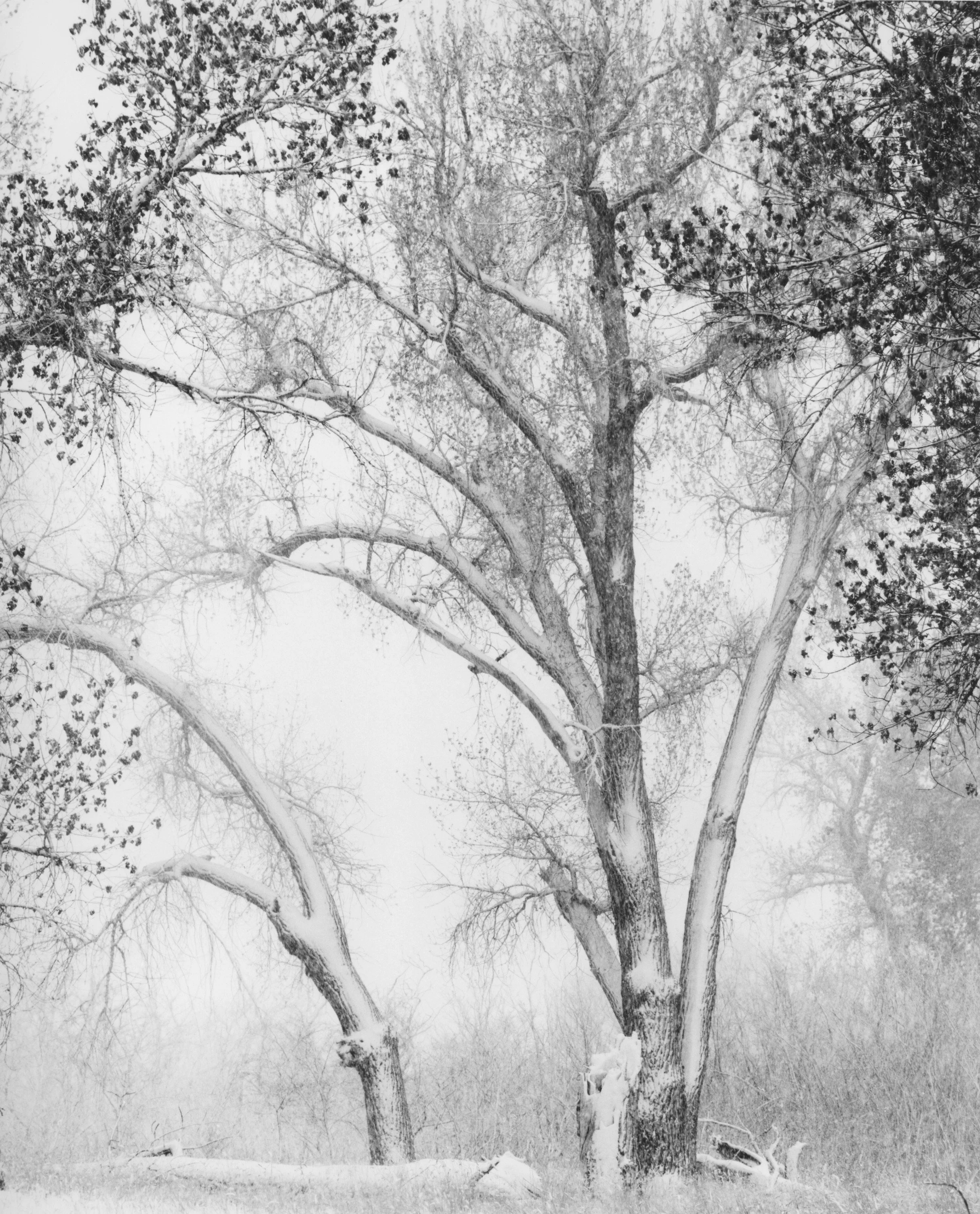 Rocky Mountain Arsenal National Wildlife Refuge