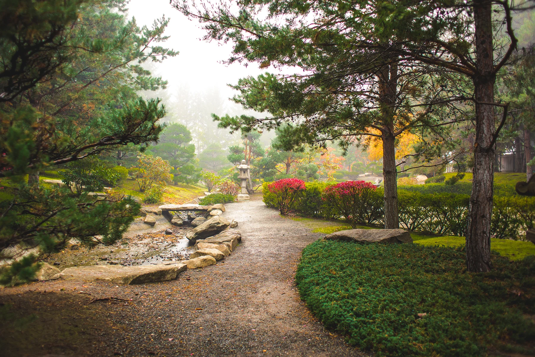 CWU_Advancement_Fall2014_12-copy.jpg
