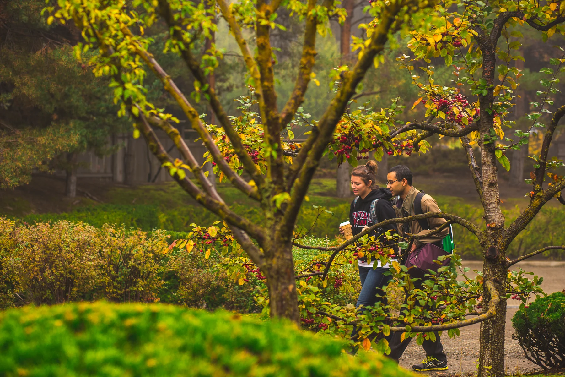 CWU_Advancement_Fall2014_15-copy.jpg