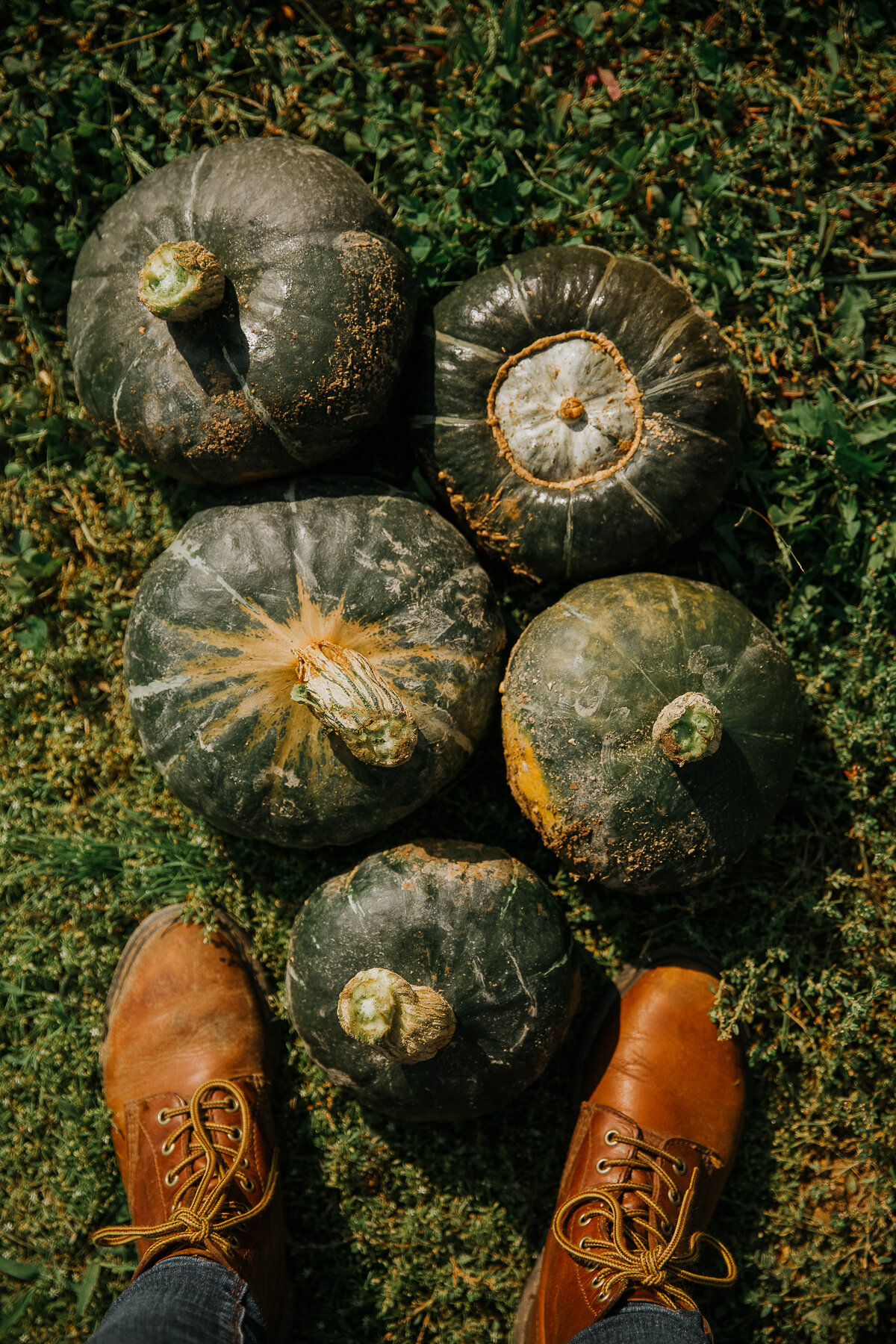Pumpkins2017-21.jpg