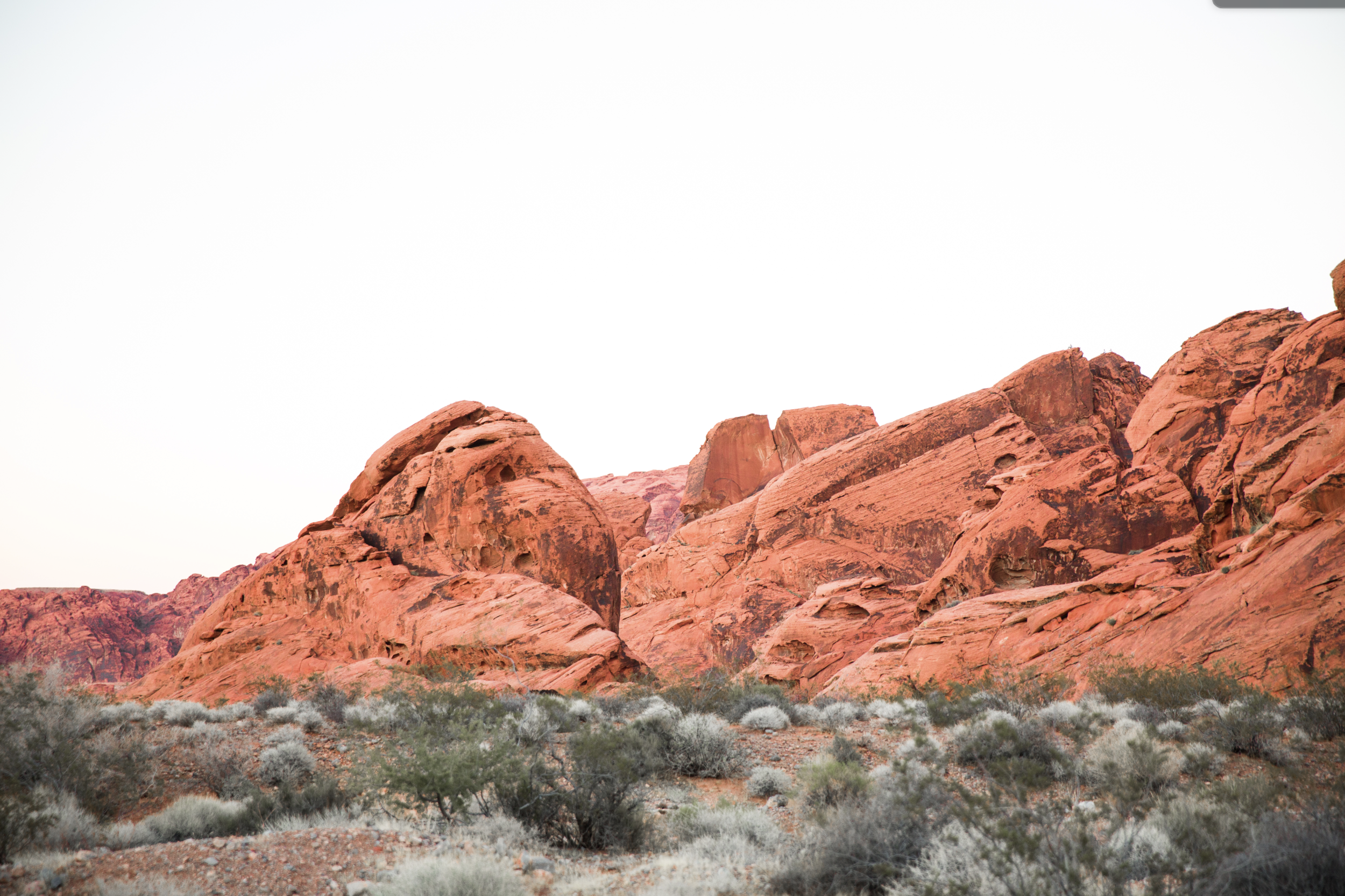 Screen Shot 2021-11-02 at 3.45.51 PM.png