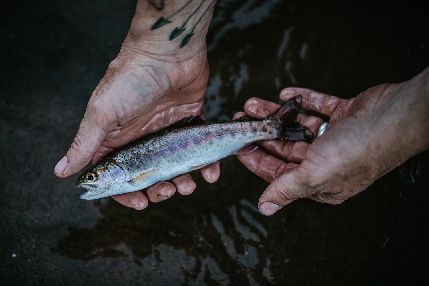 Idaho2021-10.jpg