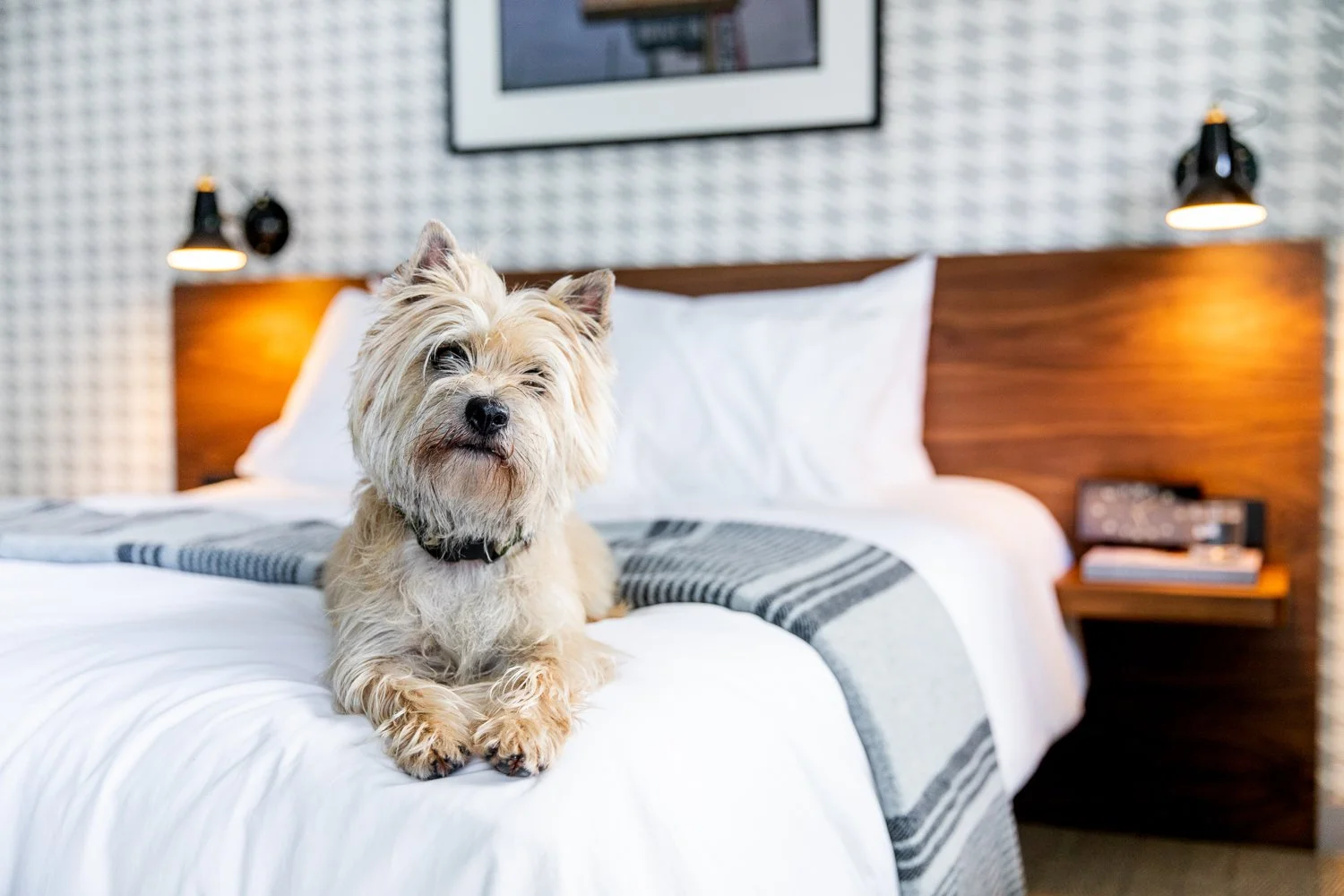 SouthWindMotel-sm-9.jpg