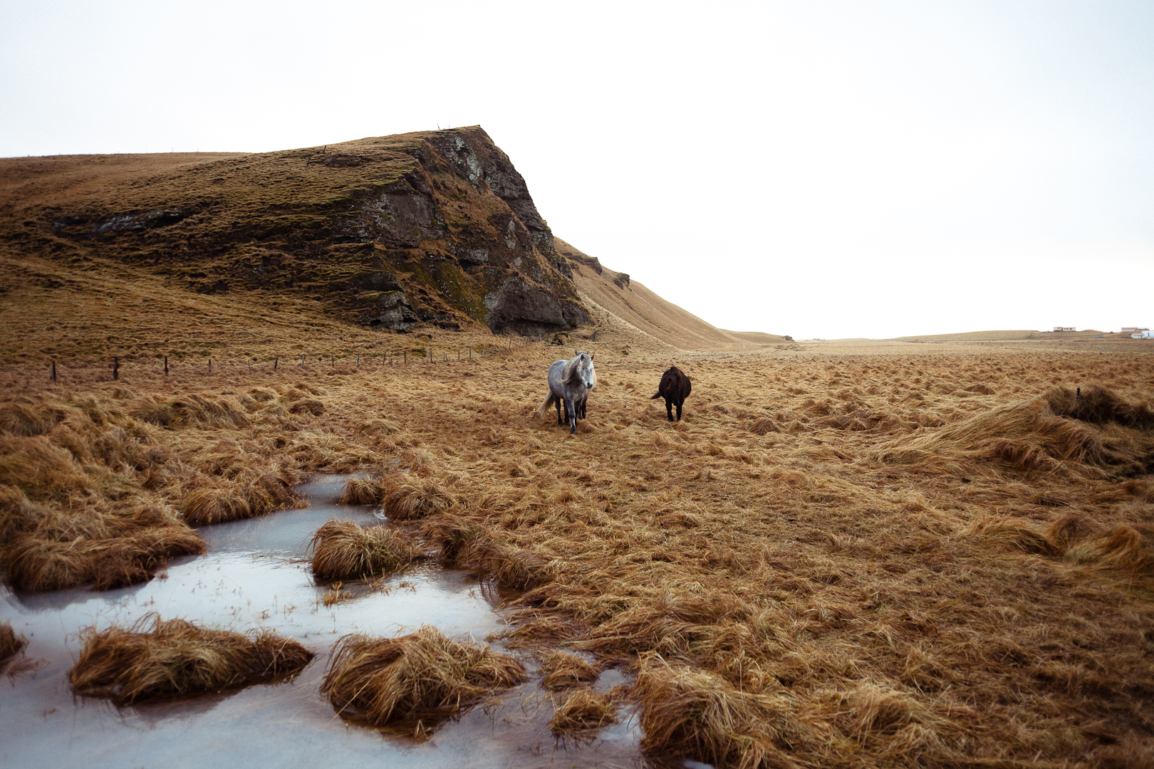  Iceland.  5D Mark II 