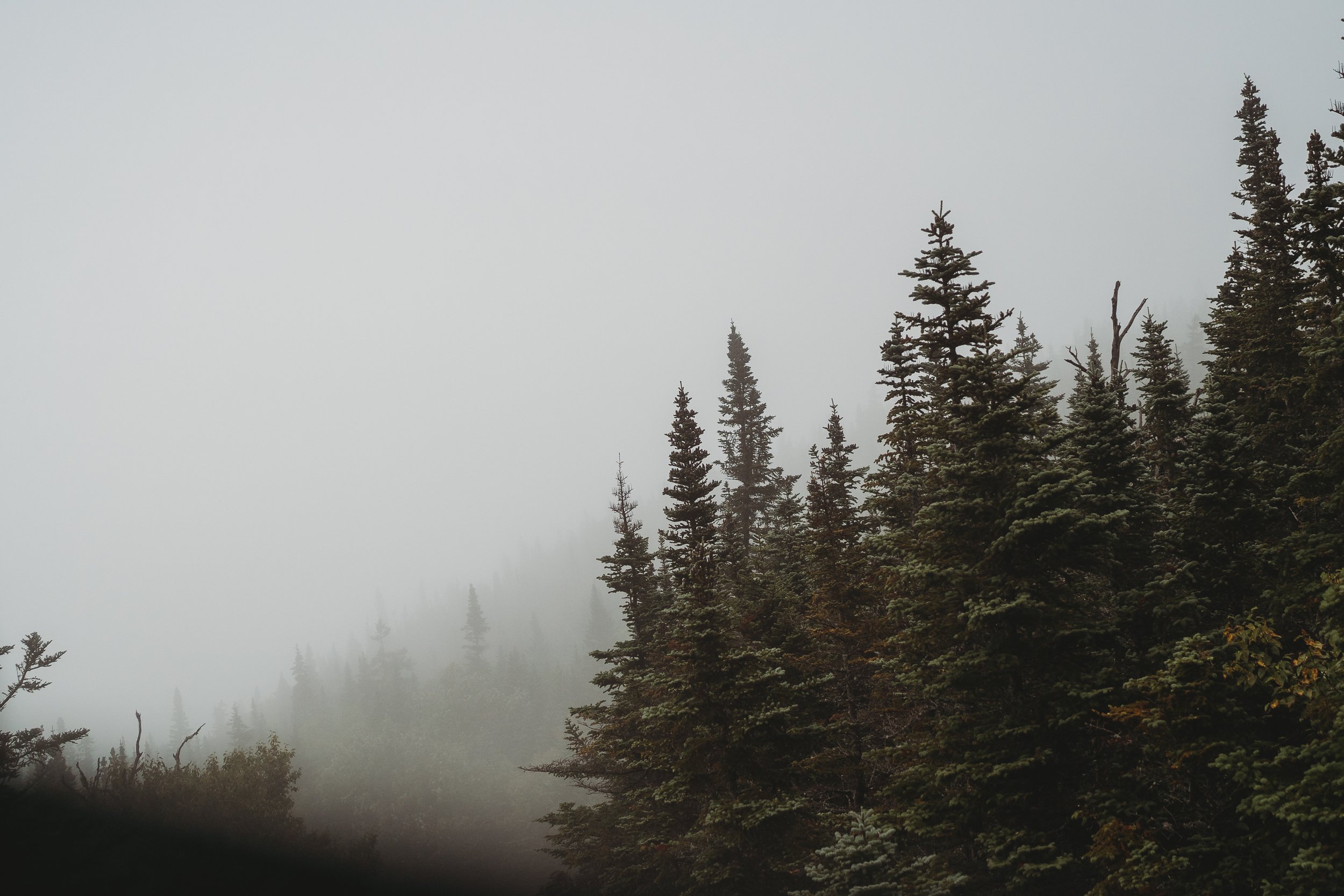 Best Engagement Locations in New Hampshire