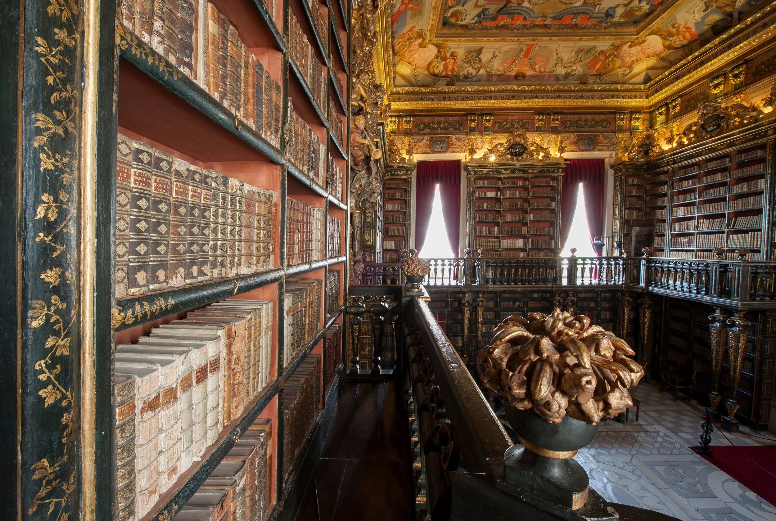 Biblioteca Joanina.jpeg