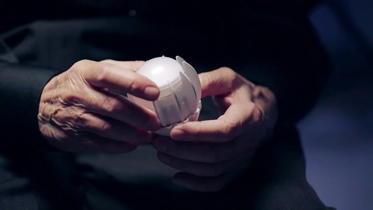 Inventor of the L.E.D. Nick Holonyak, for GE