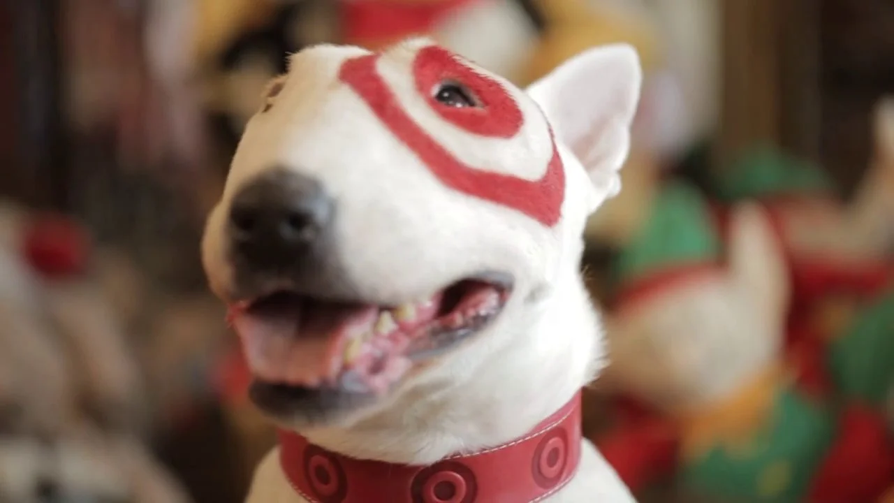 Bullseye's Day Out, Target