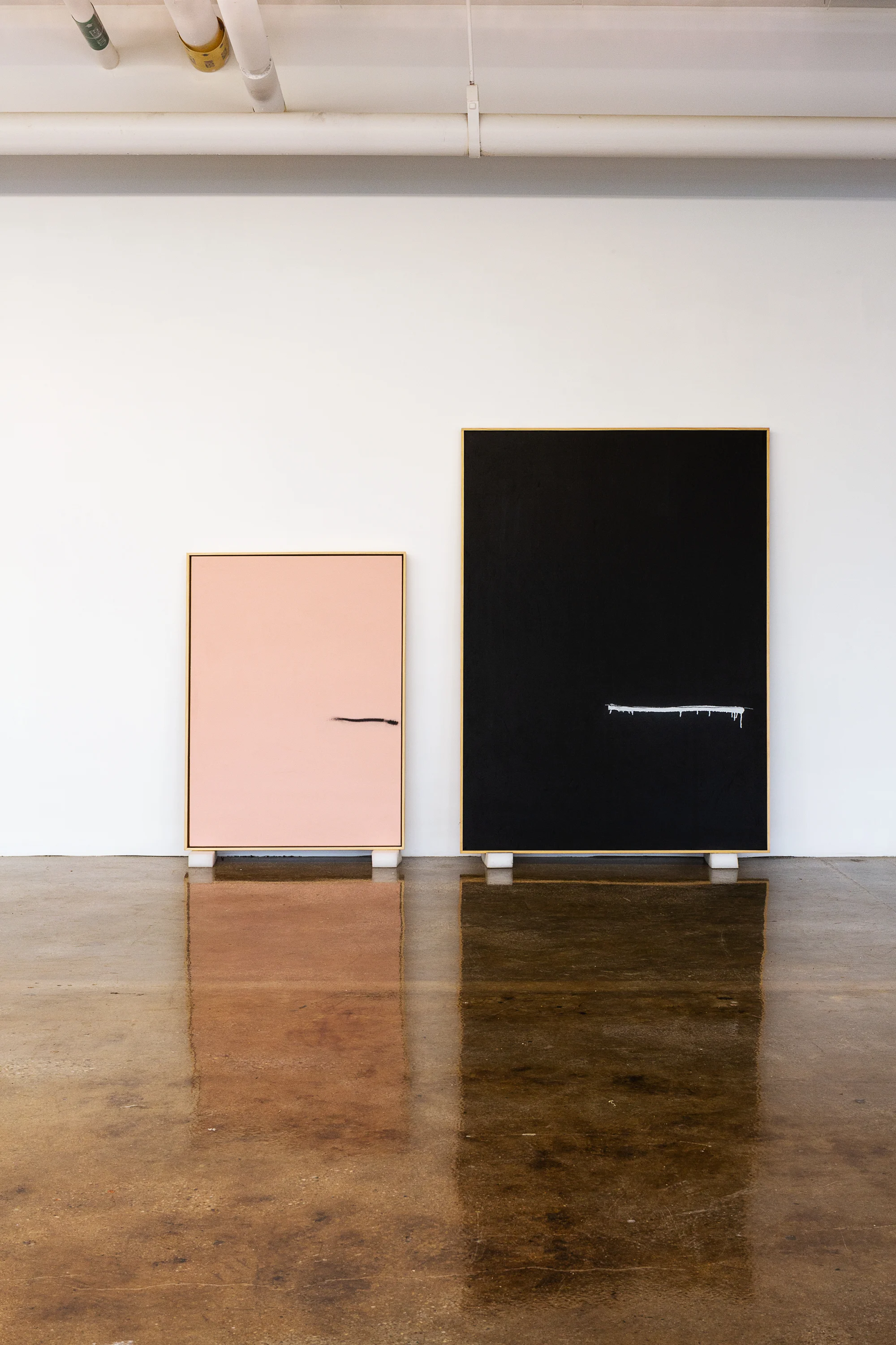 installation view "Half a wave" Pfizer Building, Brooklyn, NY 2018