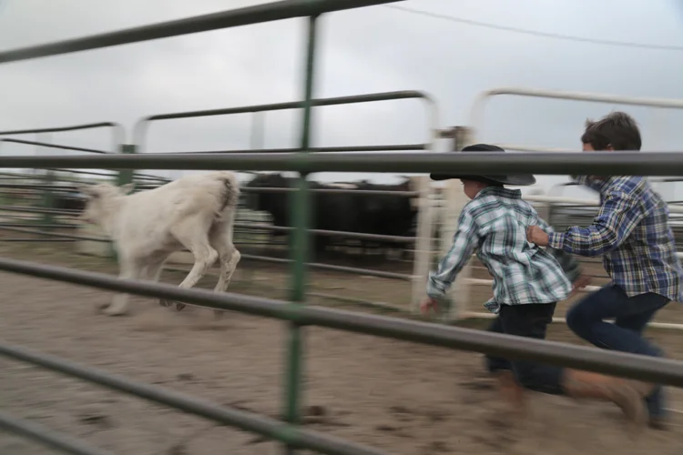 Rodeo, Kyle SD (2013)