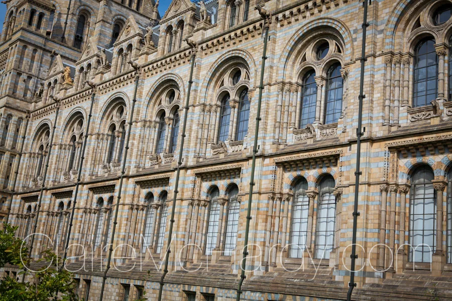 Architecture & Design -97.jpg