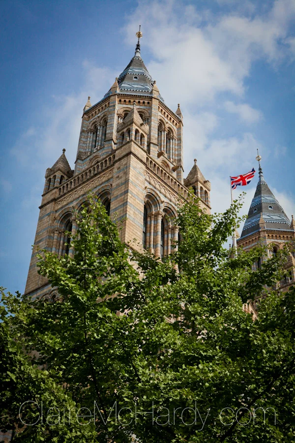 Architecture & Design -96.jpg