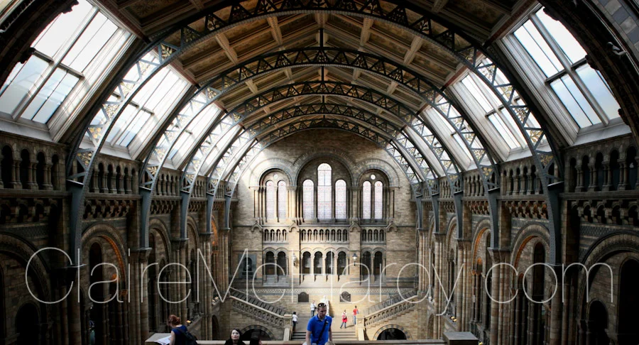 Architecture & Design -101.jpg