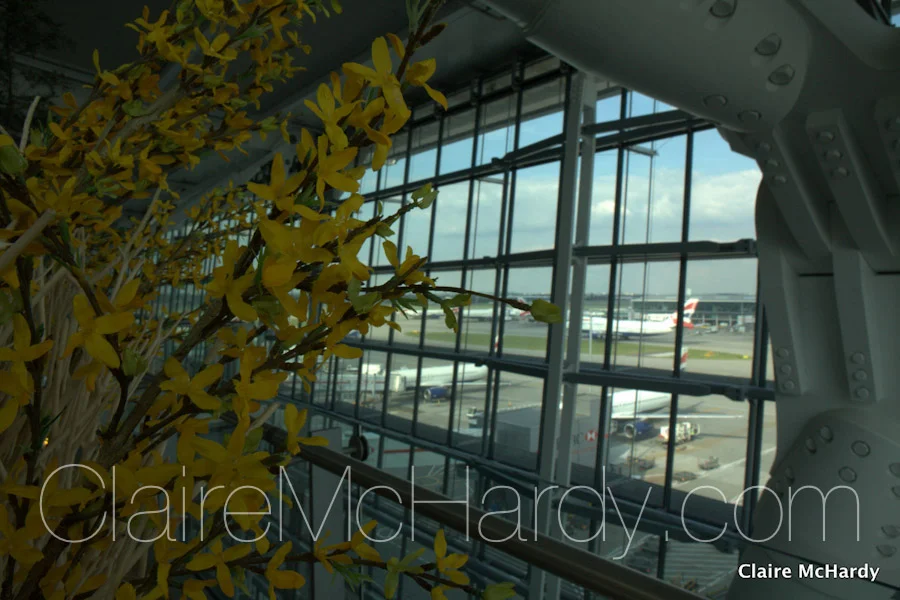 Architecture & Design -15.jpg